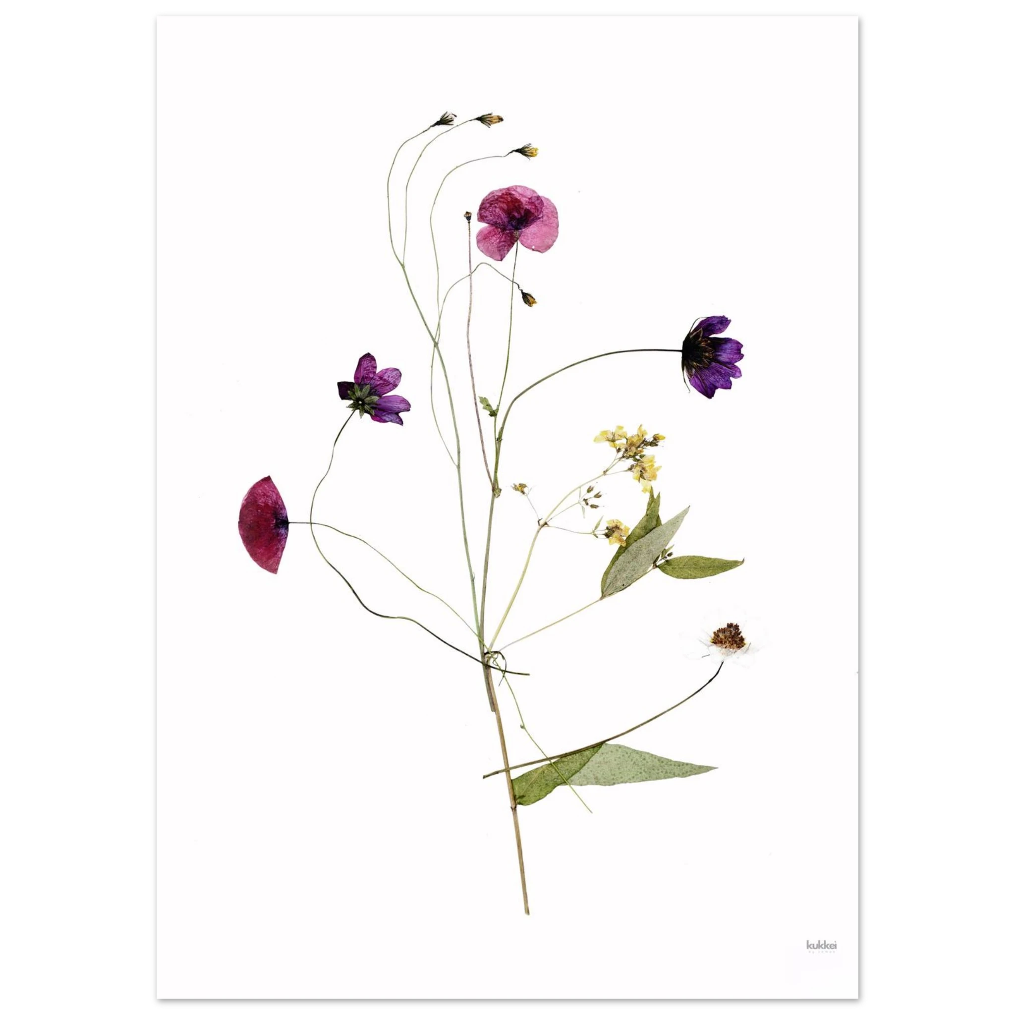 0d877a35-2e4a-4fc1-a490-7d00f687d356