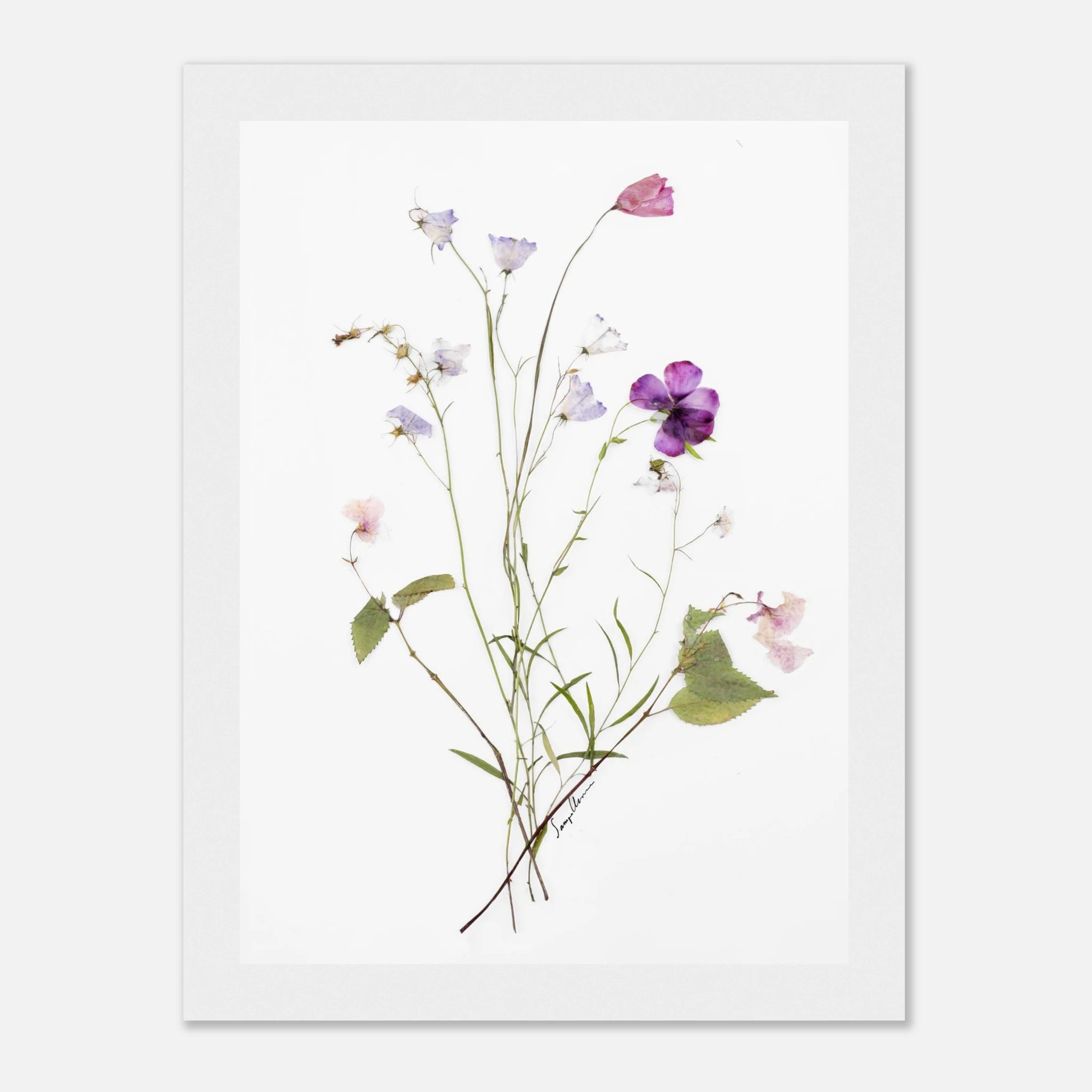 2309fb18-e167-4f79-8fa6-5dd845f99b79