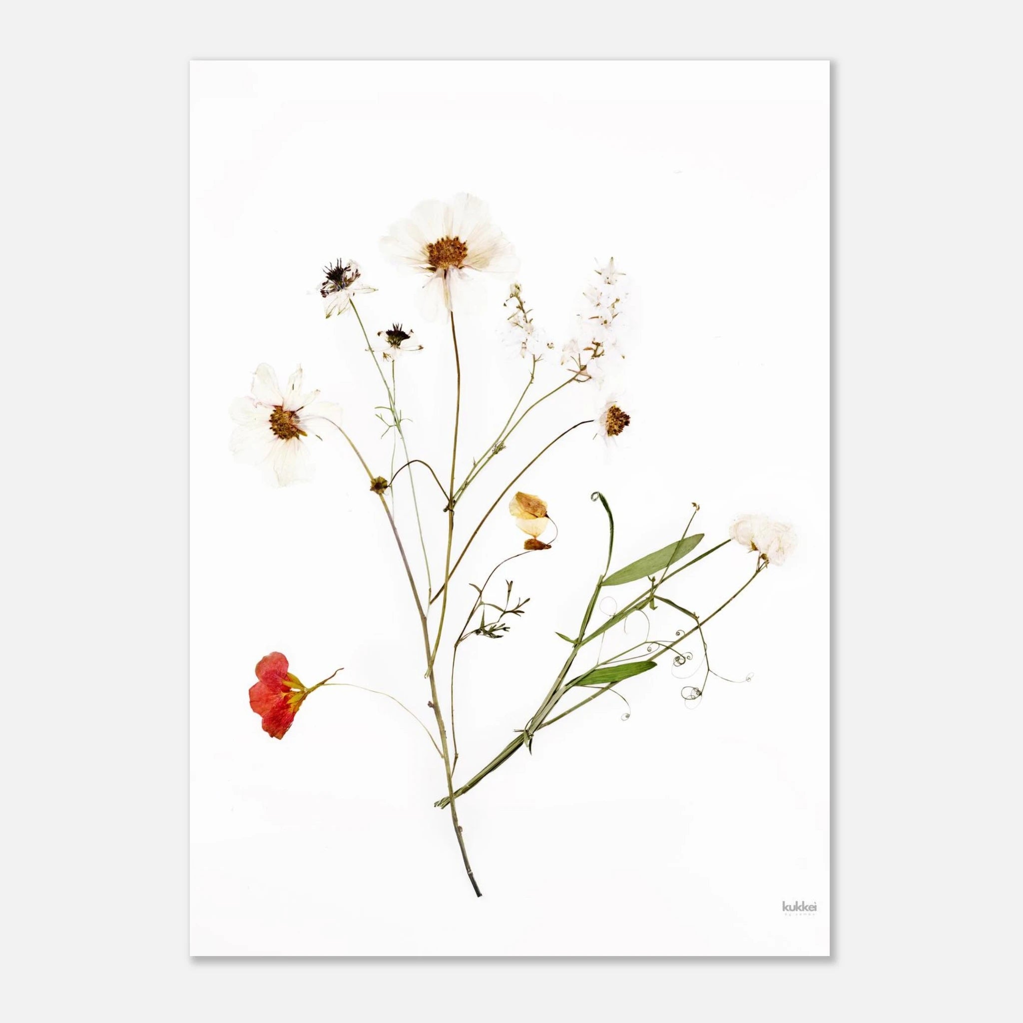 419df9d6-c5bf-4b1c-895b-17d249f6ed0d