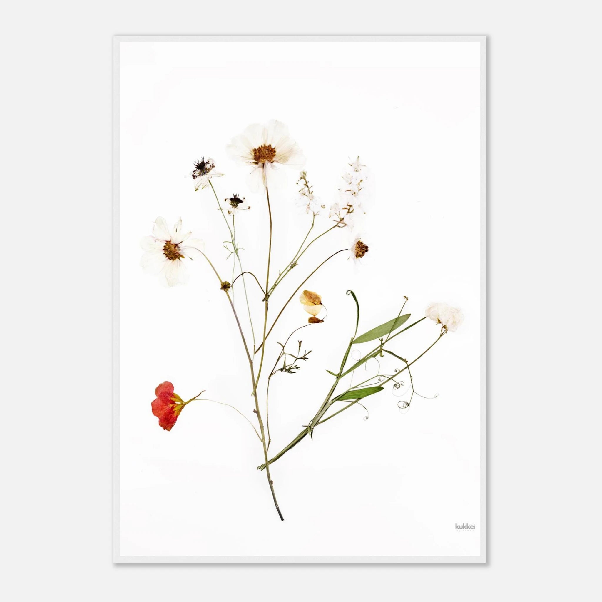 d07ac6d3-1340-4d83-b1a9-6be04a119d96