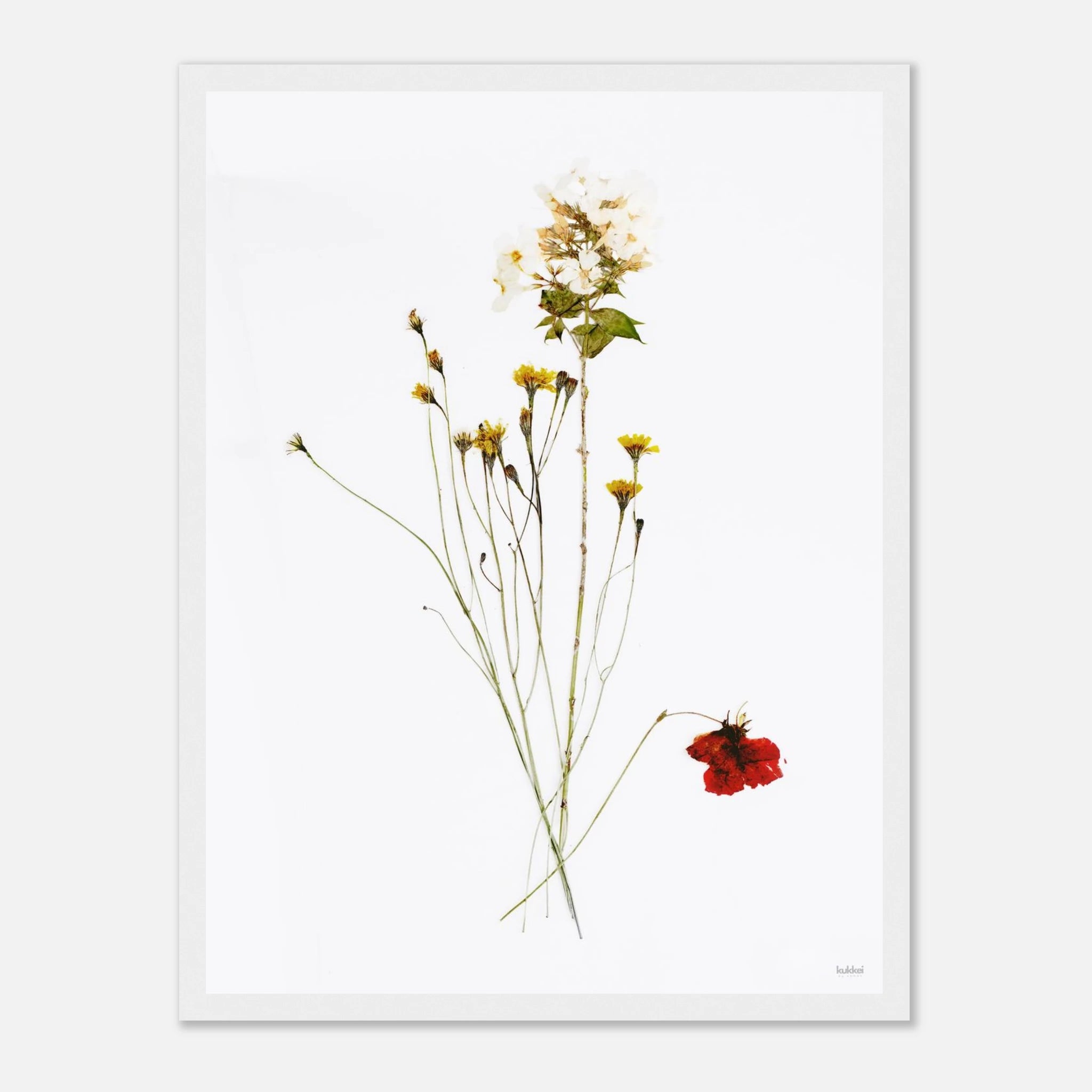 f8dba4ff-20d4-43b8-910e-6e2d152d0aad