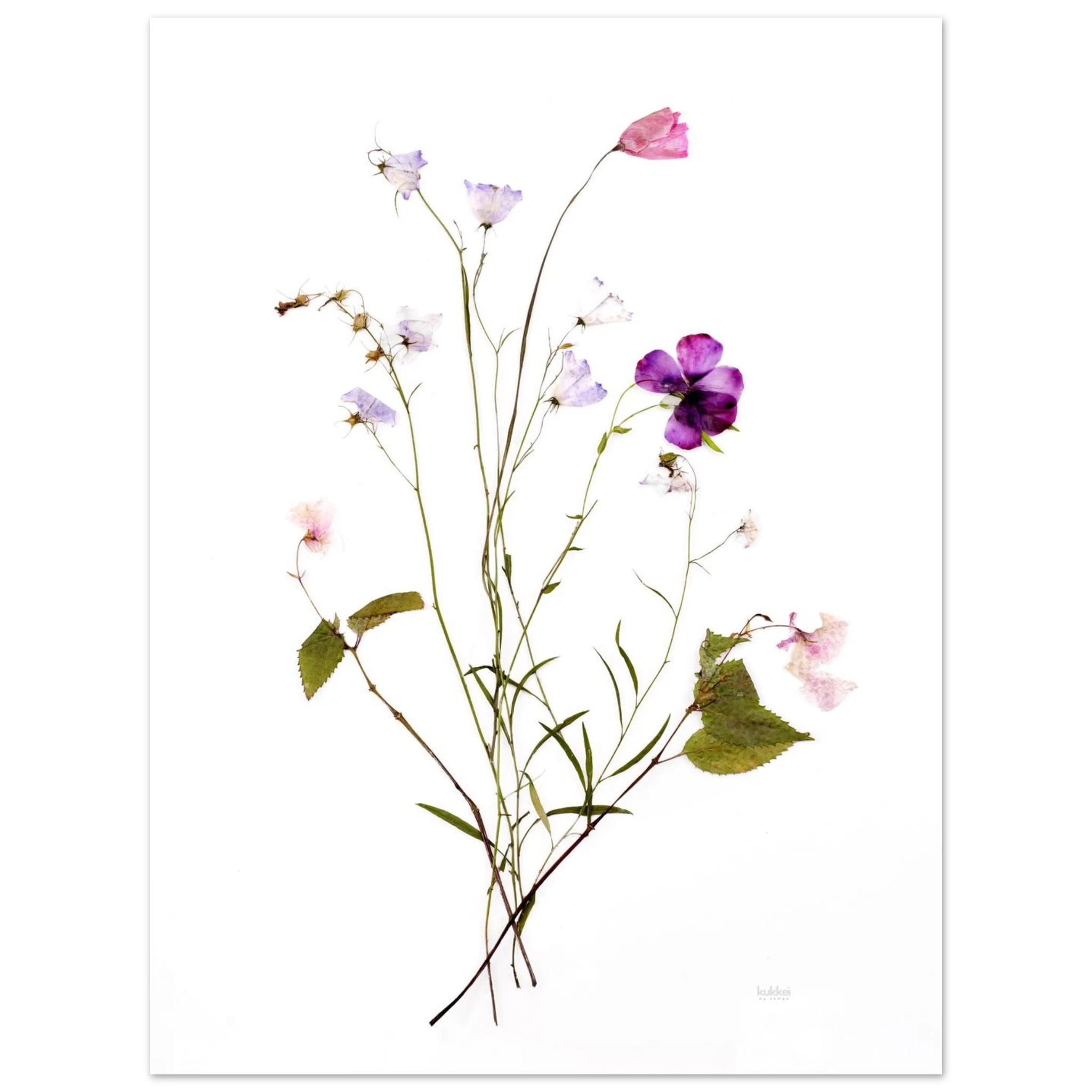 035f739d-32a0-403c-a5d4-f386f972c708