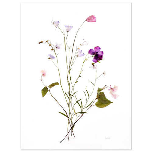 035f739d-32a0-403c-a5d4-f386f972c708