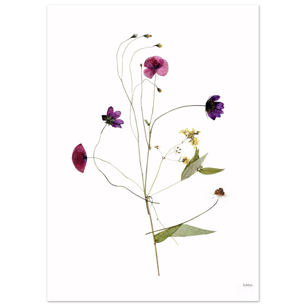 0d877a35-2e4a-4fc1-a490-7d00f687d356