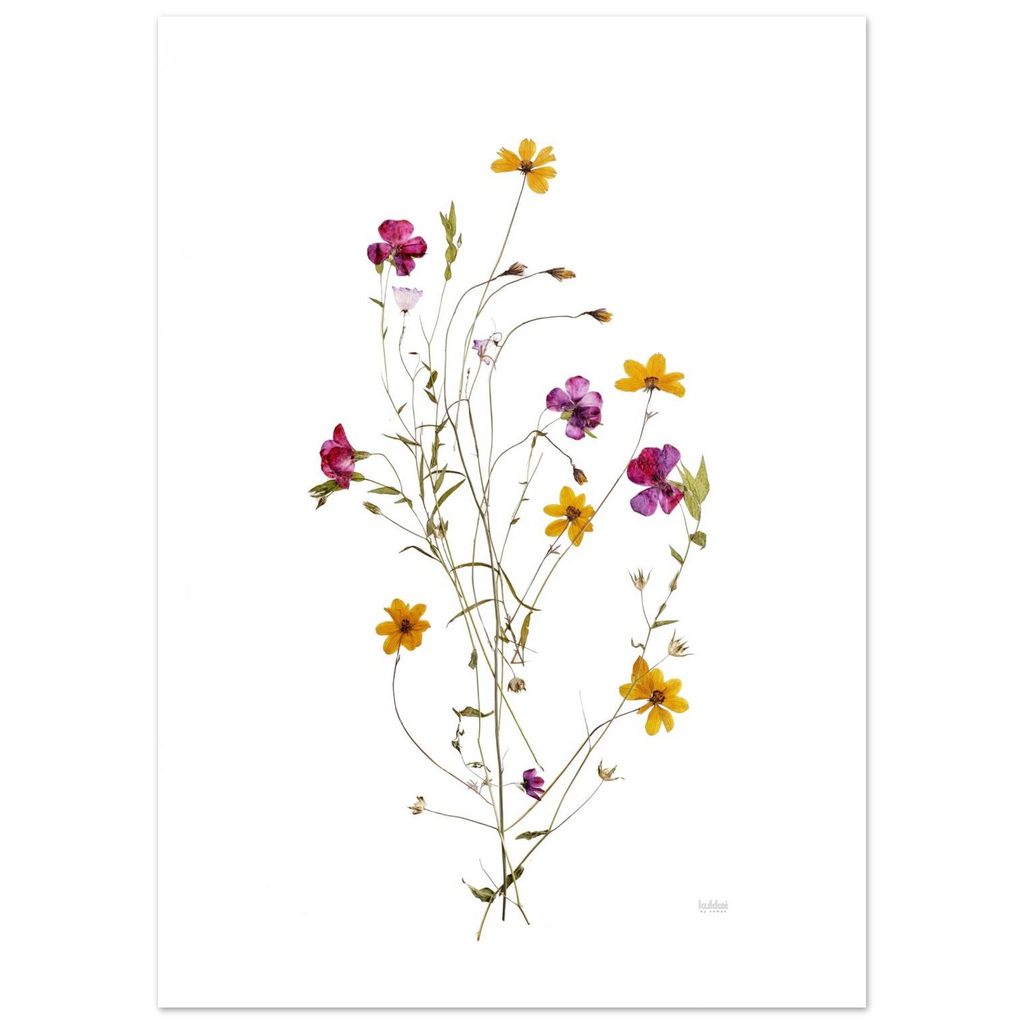 0e85d914-c274-4244-a681-4c2363f14b58