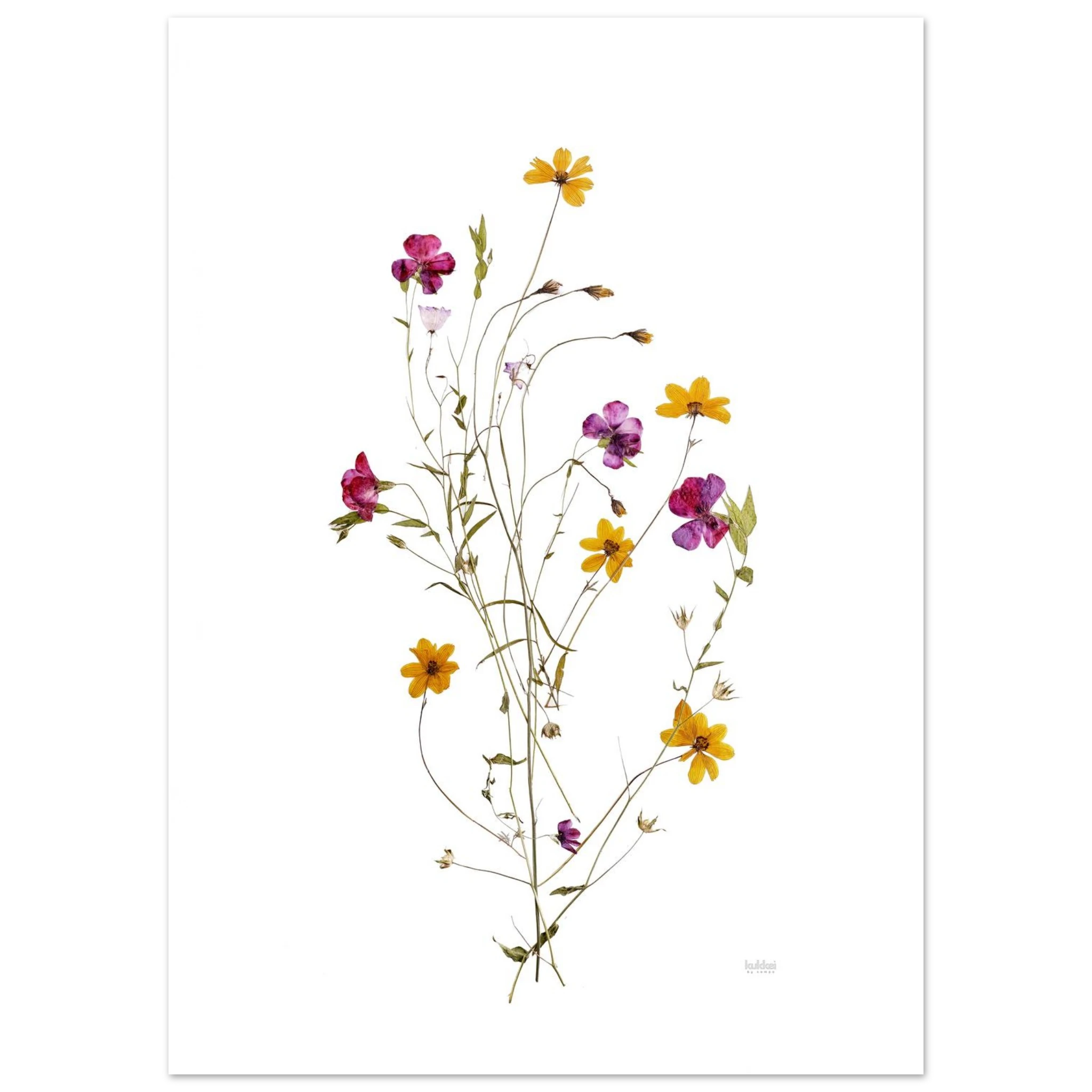 0e85d914-c274-4244-a681-4c2363f14b58