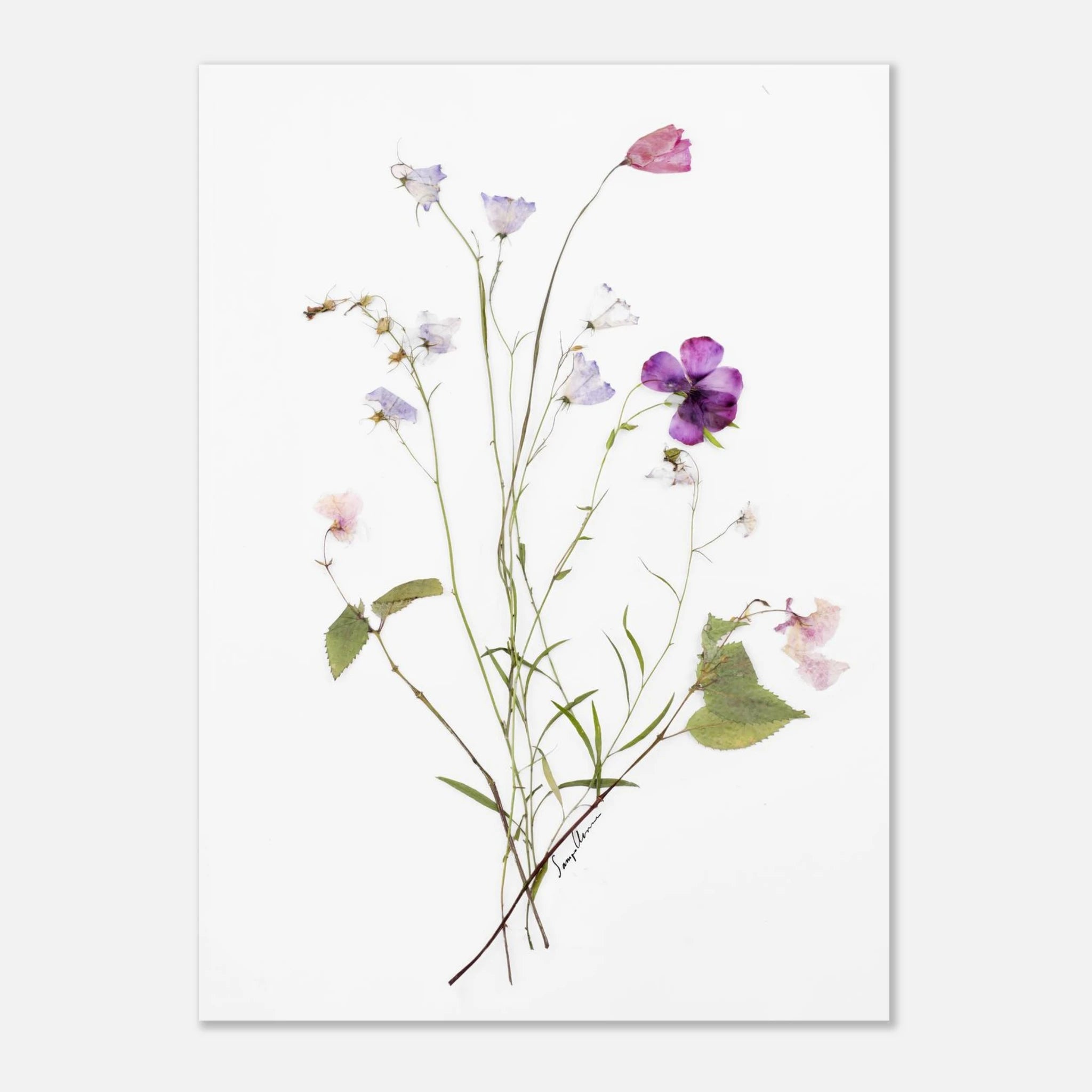 18994dbd-d2e0-41cd-9c73-b8d81d95480a