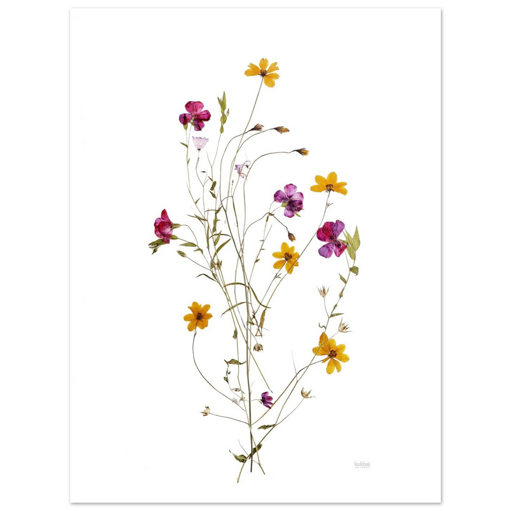 18ddf171-b551-40f2-8165-aa42432489d4