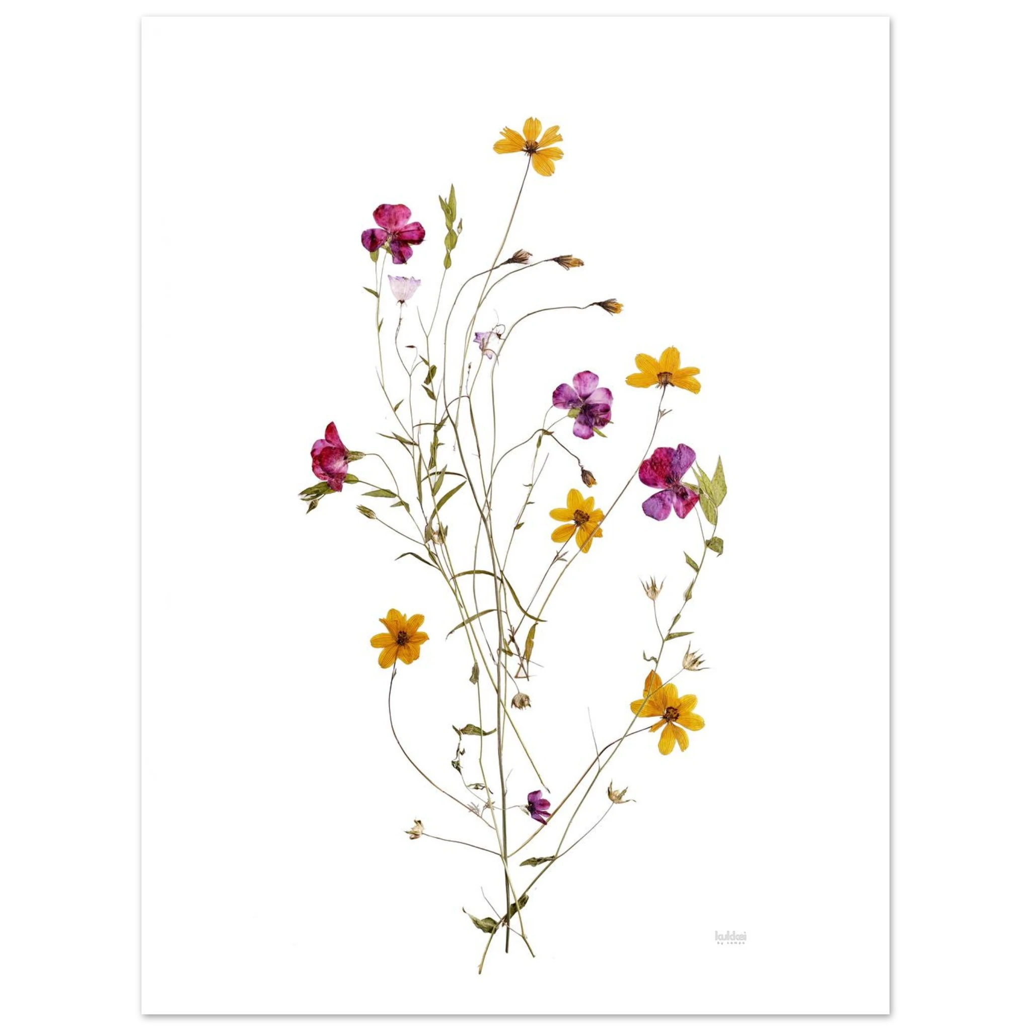 18ddf171-b551-40f2-8165-aa42432489d4