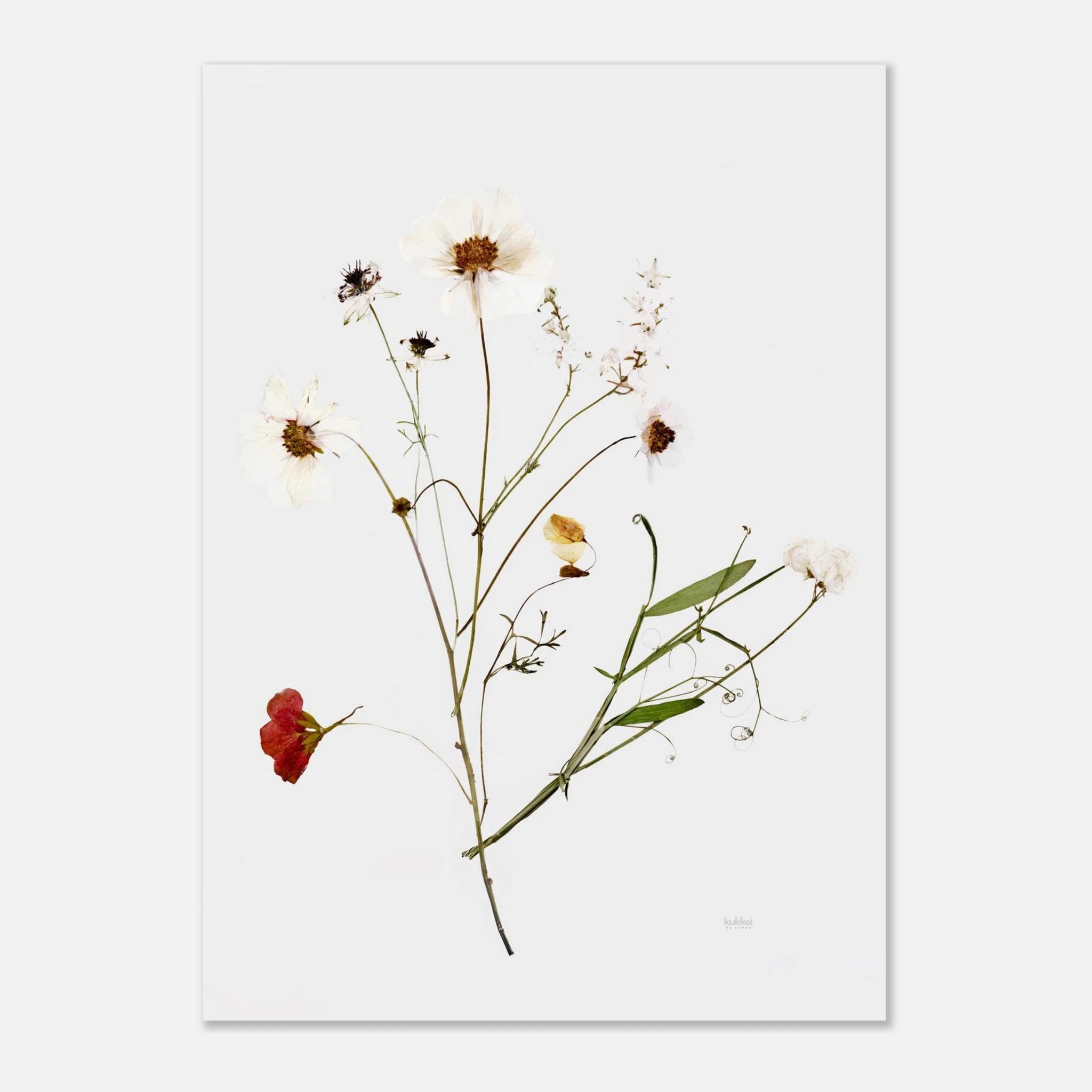 1d23ea92-1888-4a15-8f6a-5b75ab64de0a