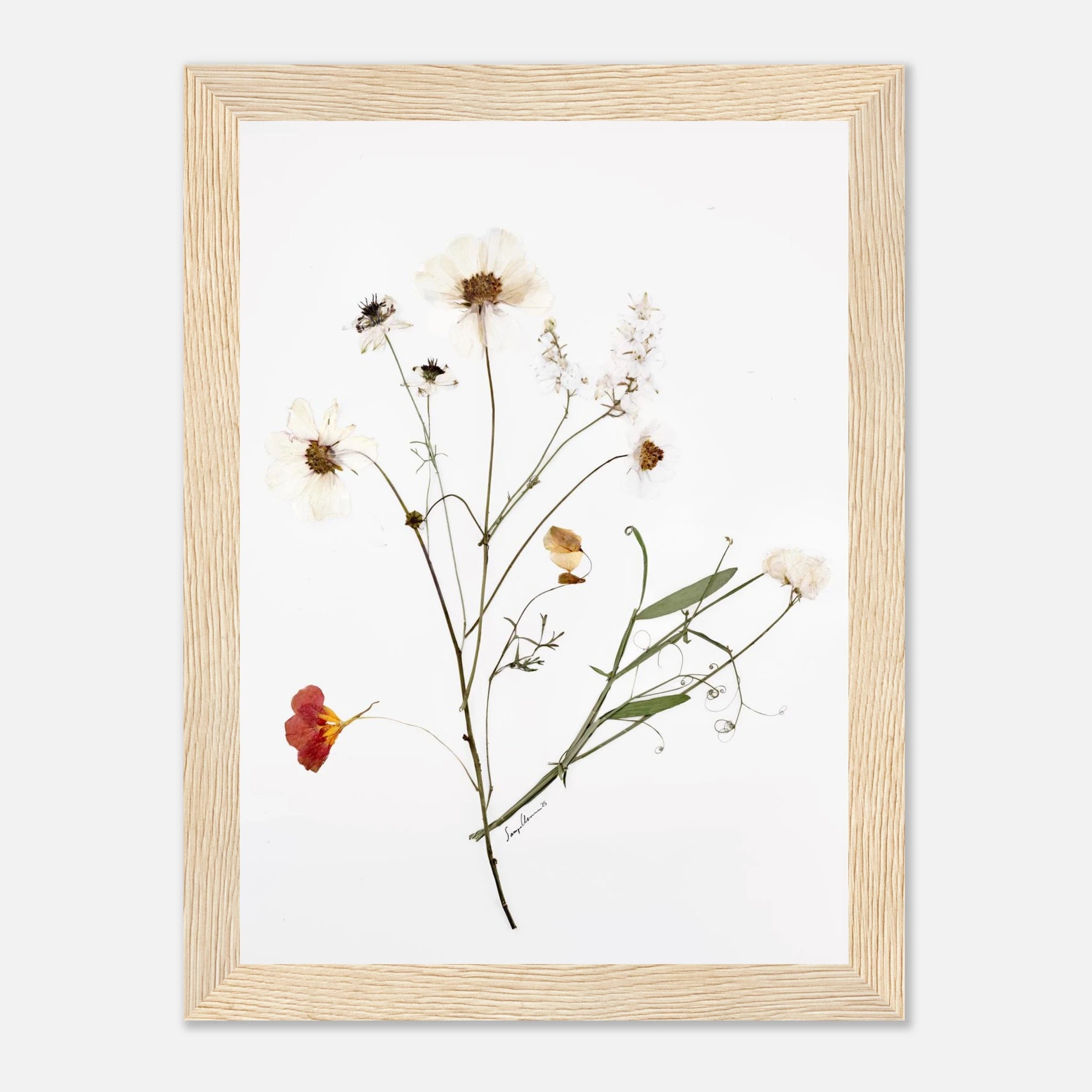 1f92f28f-01c0-45d2-b38f-ce1fdca87091