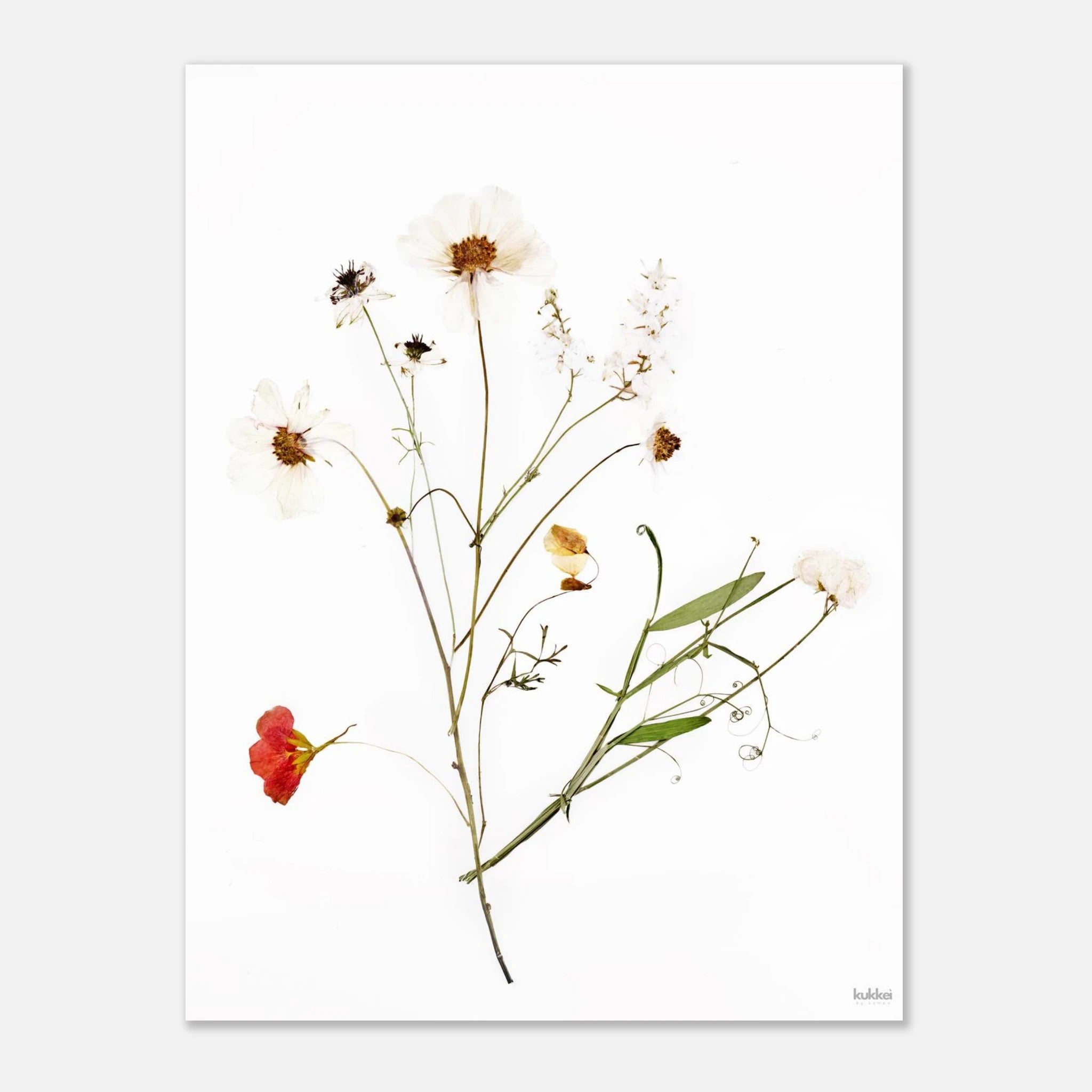 25355639-39df-4fb3-baa7-acba84ea1a29