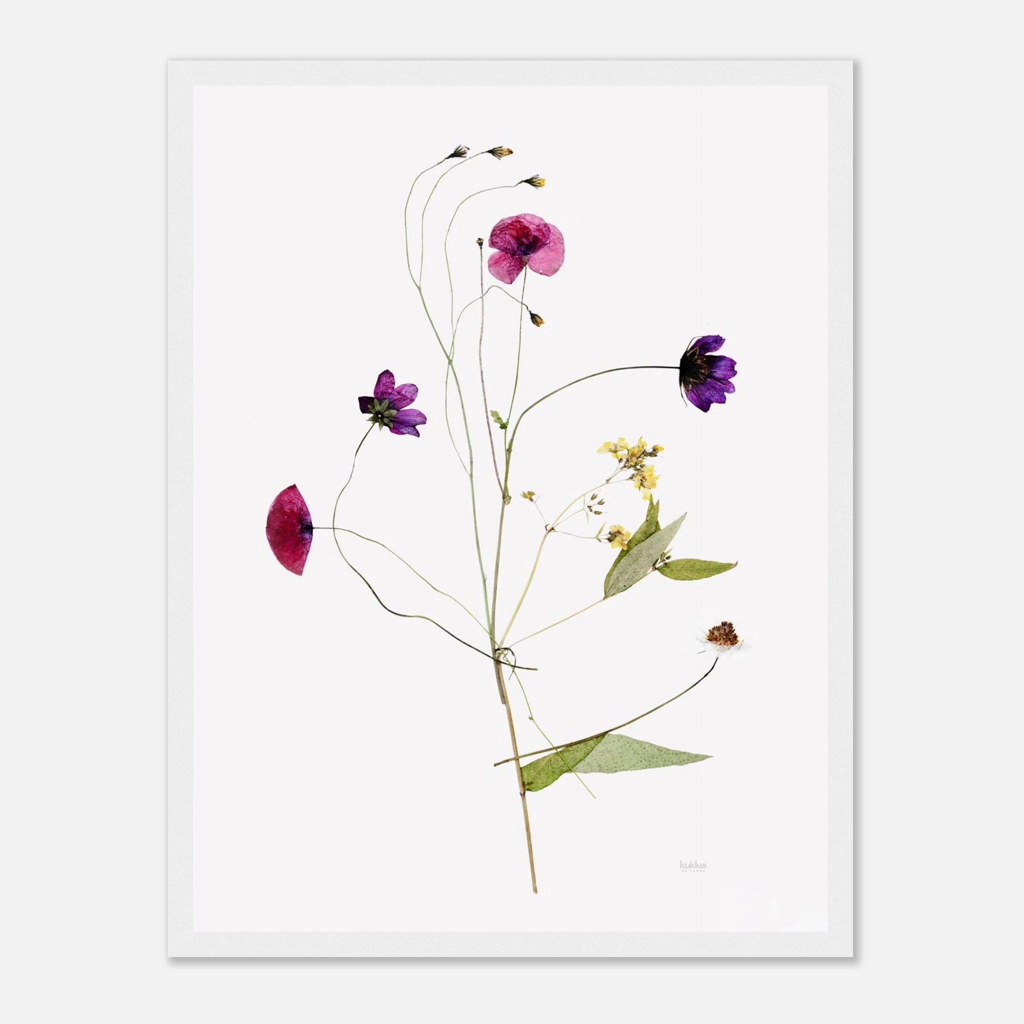 2621dc00-7655-4720-9998-f482116882d6