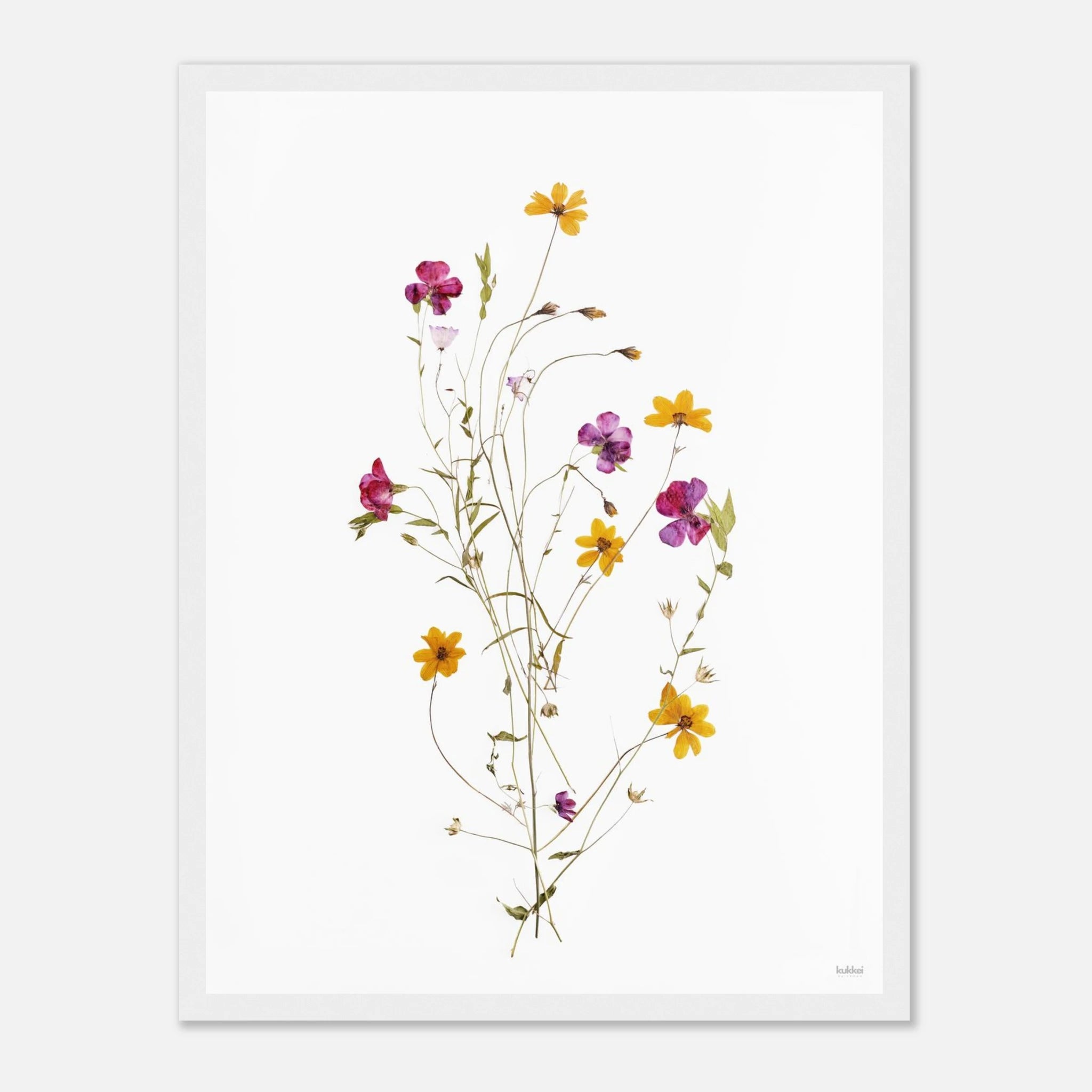 2ce969be-ba2e-45cc-8d6c-c7173b0e2bc9