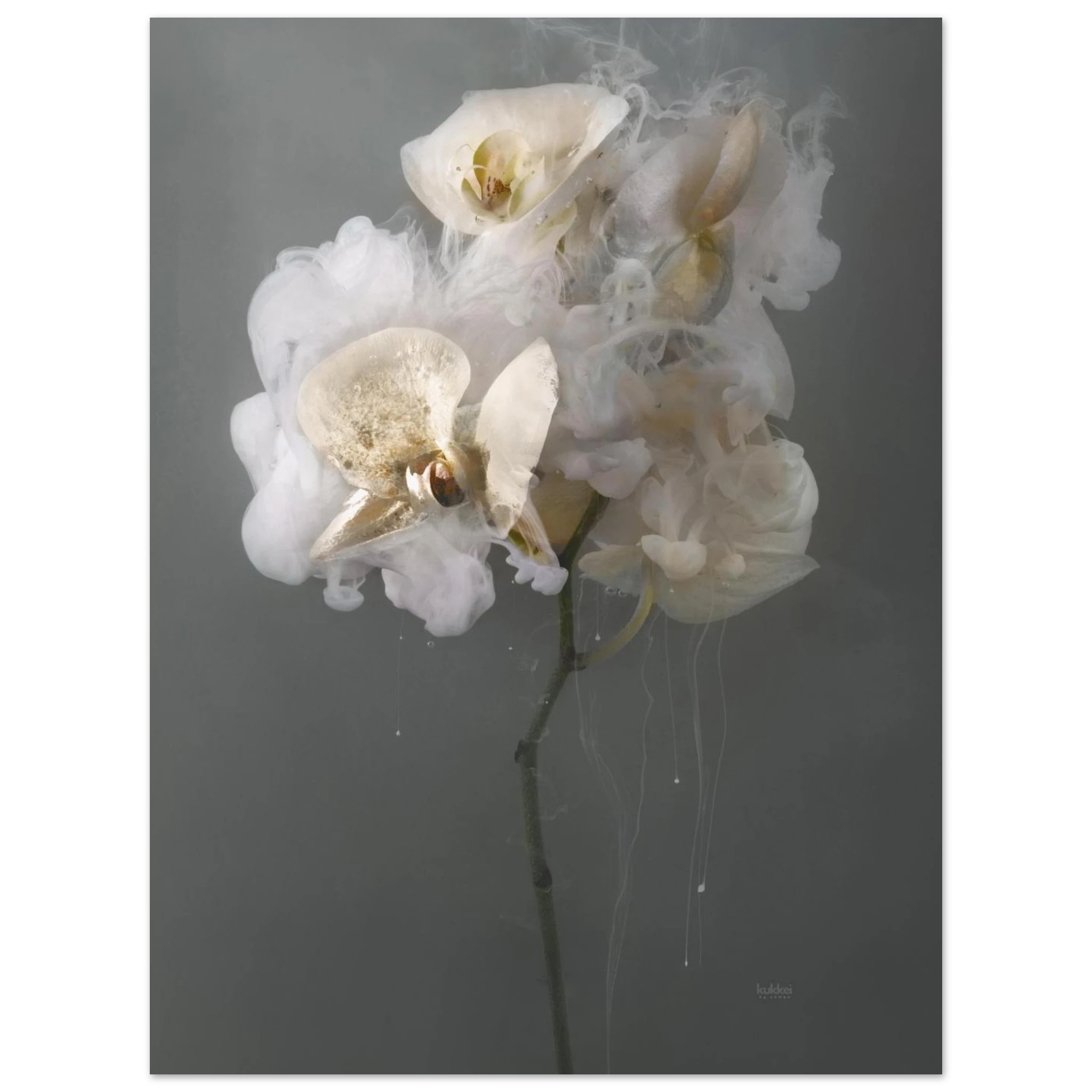 2e34faf3-302e-4e3c-beee-d768b3ae4b09