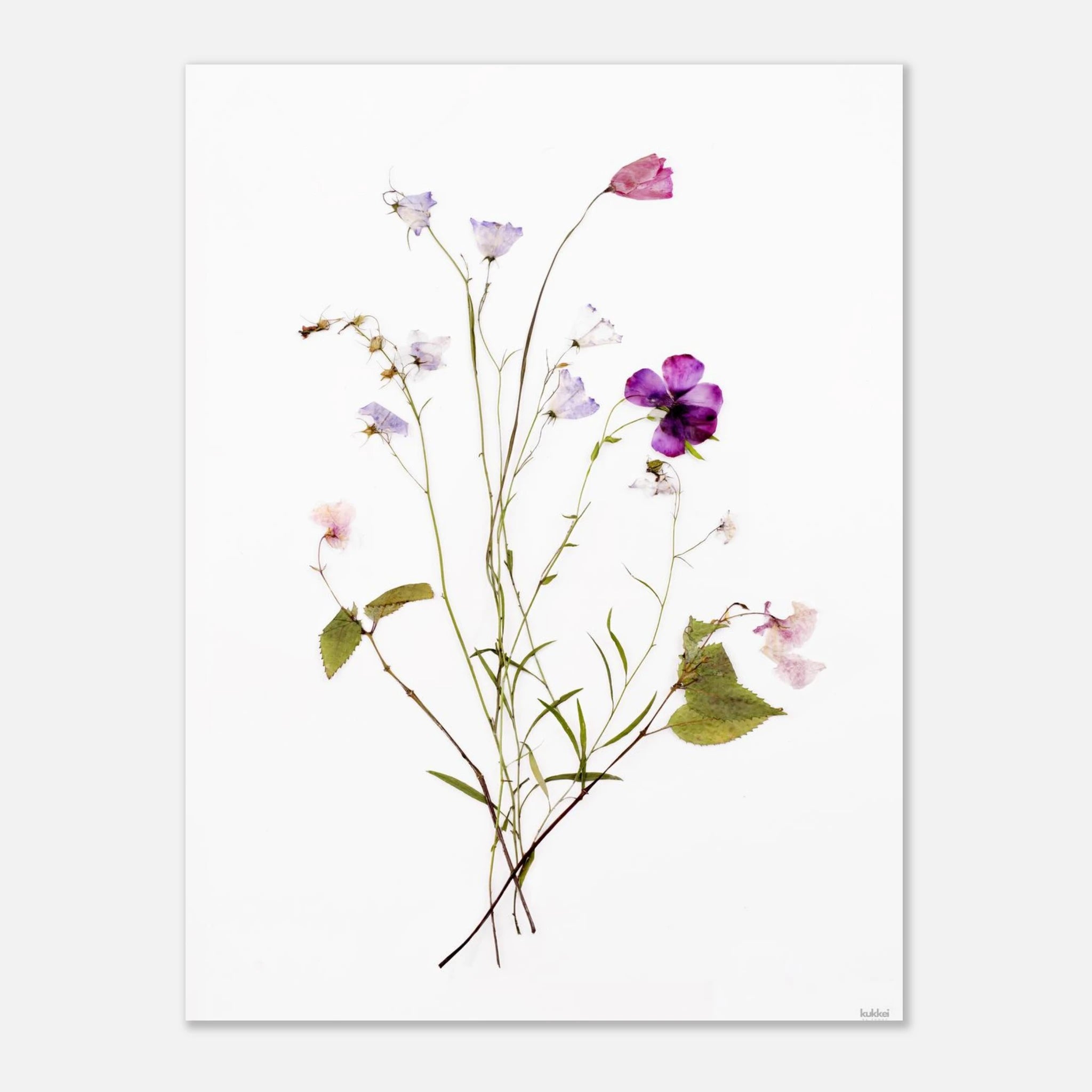 345a7f3d-a1e2-4b86-98c5-8082d6477618