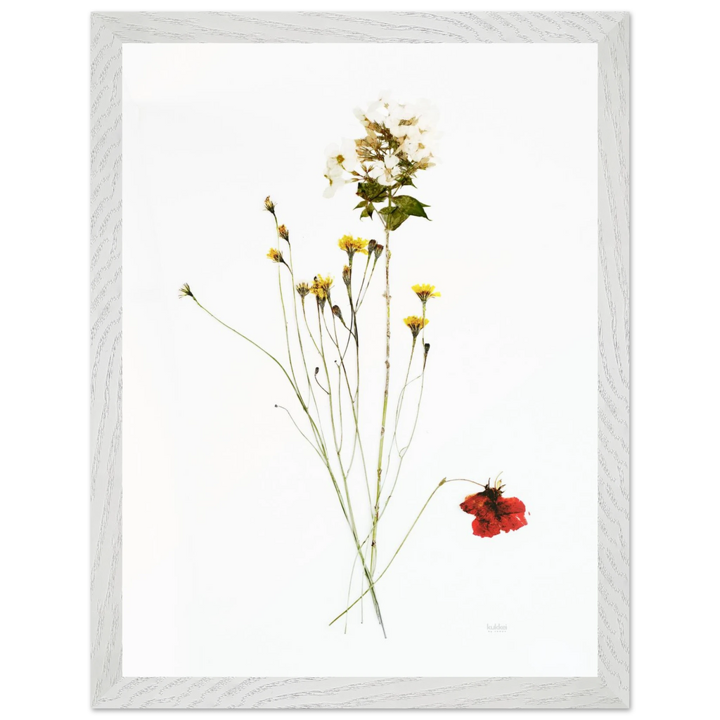 34fe5d5c-aaa5-4ca1-b056-c3a9bc92c1bc