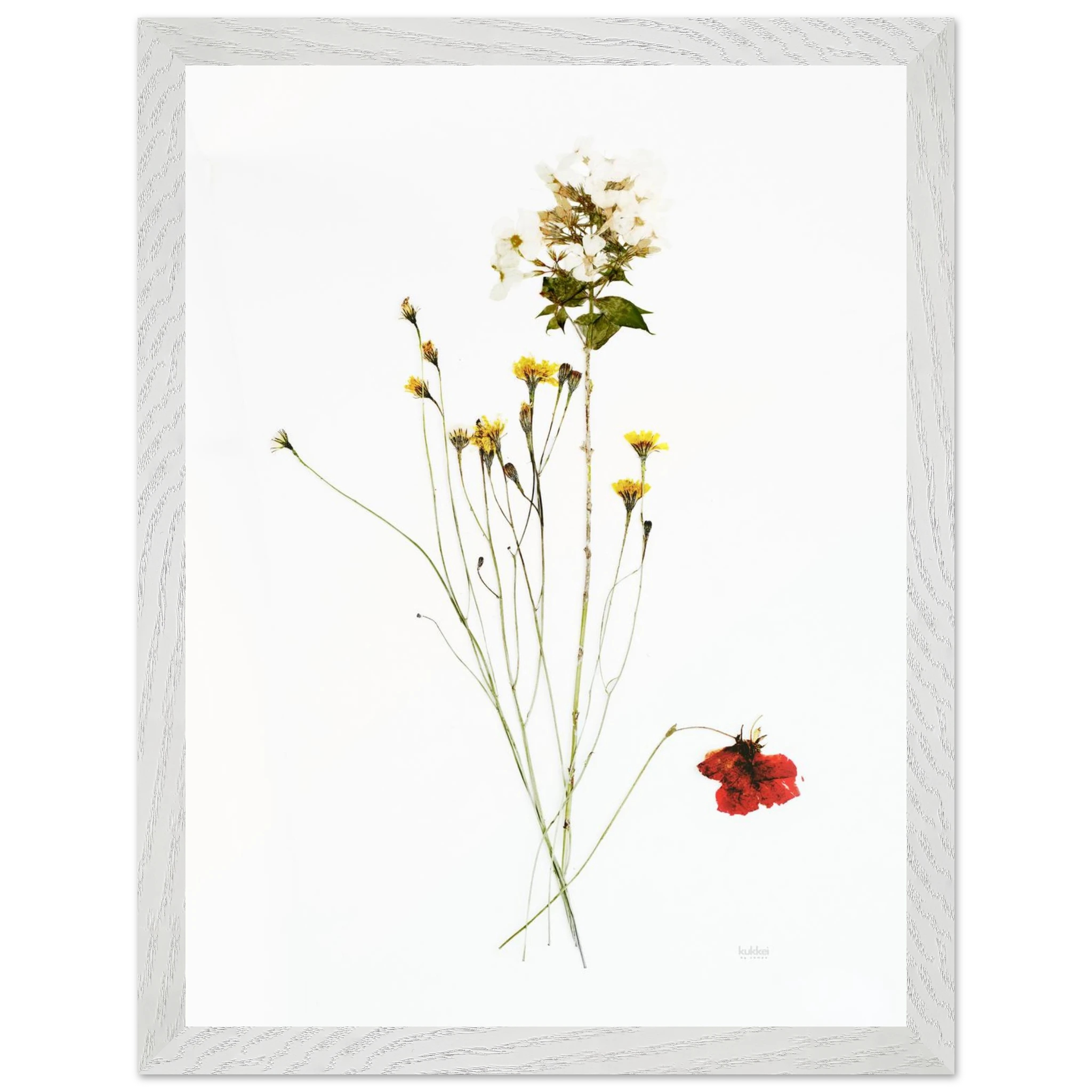 34fe5d5c-aaa5-4ca1-b056-c3a9bc92c1bc