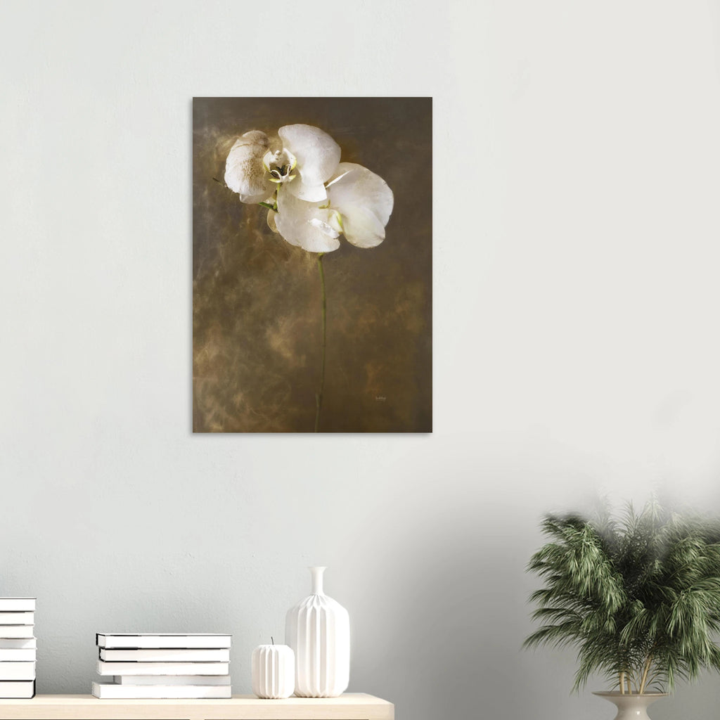 40e0495a-6d4f-4861-8173-3edb73a59820