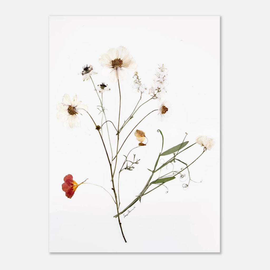 473ea5f8-b23d-4ad1-a46e-e8f0ebbb8d4c