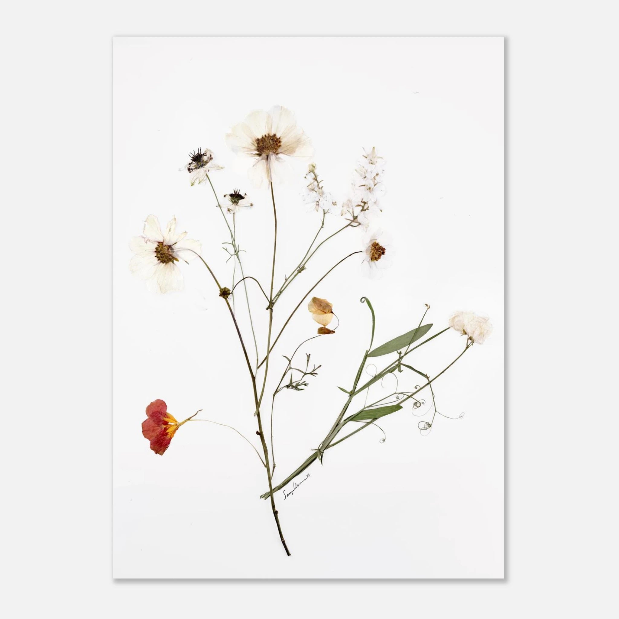 473ea5f8-b23d-4ad1-a46e-e8f0ebbb8d4c