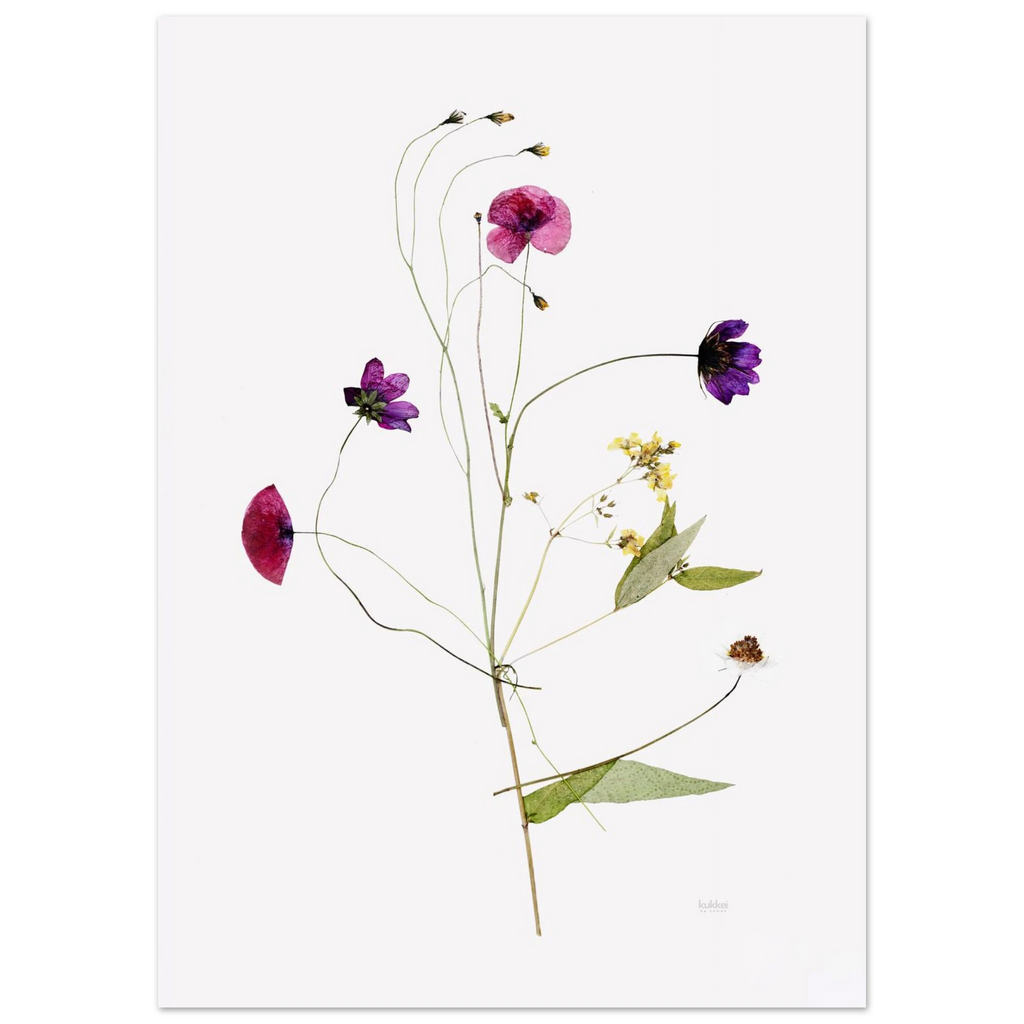 5523544c-a610-426d-9e35-2cddec5e3d6b