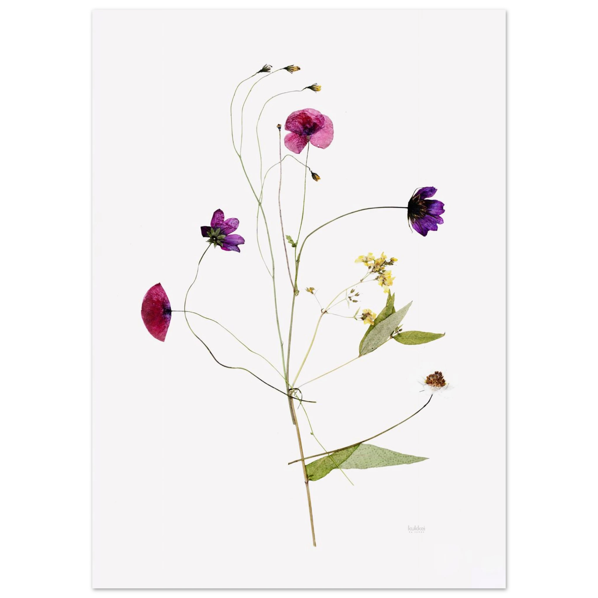 5523544c-a610-426d-9e35-2cddec5e3d6b