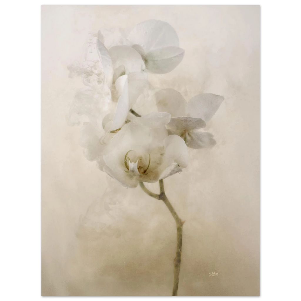 55627e71-f2d7-4d02-aad3-c420f350a811