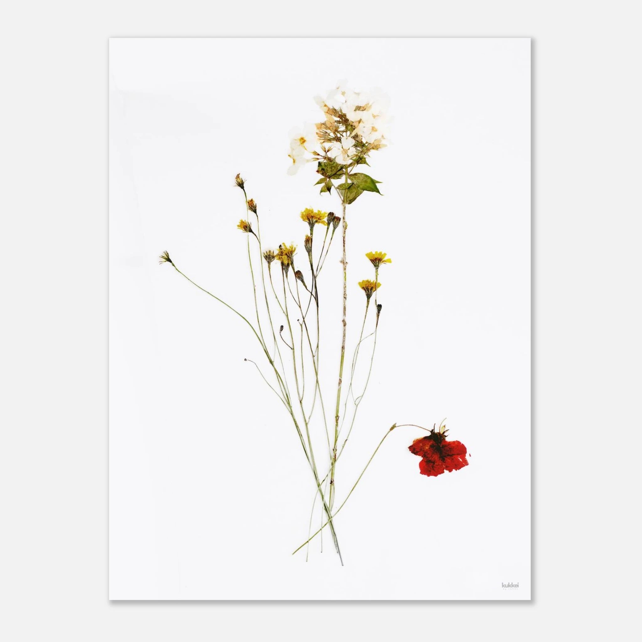 598d1d86-15e4-4735-b51d-8bb9a552a2f5