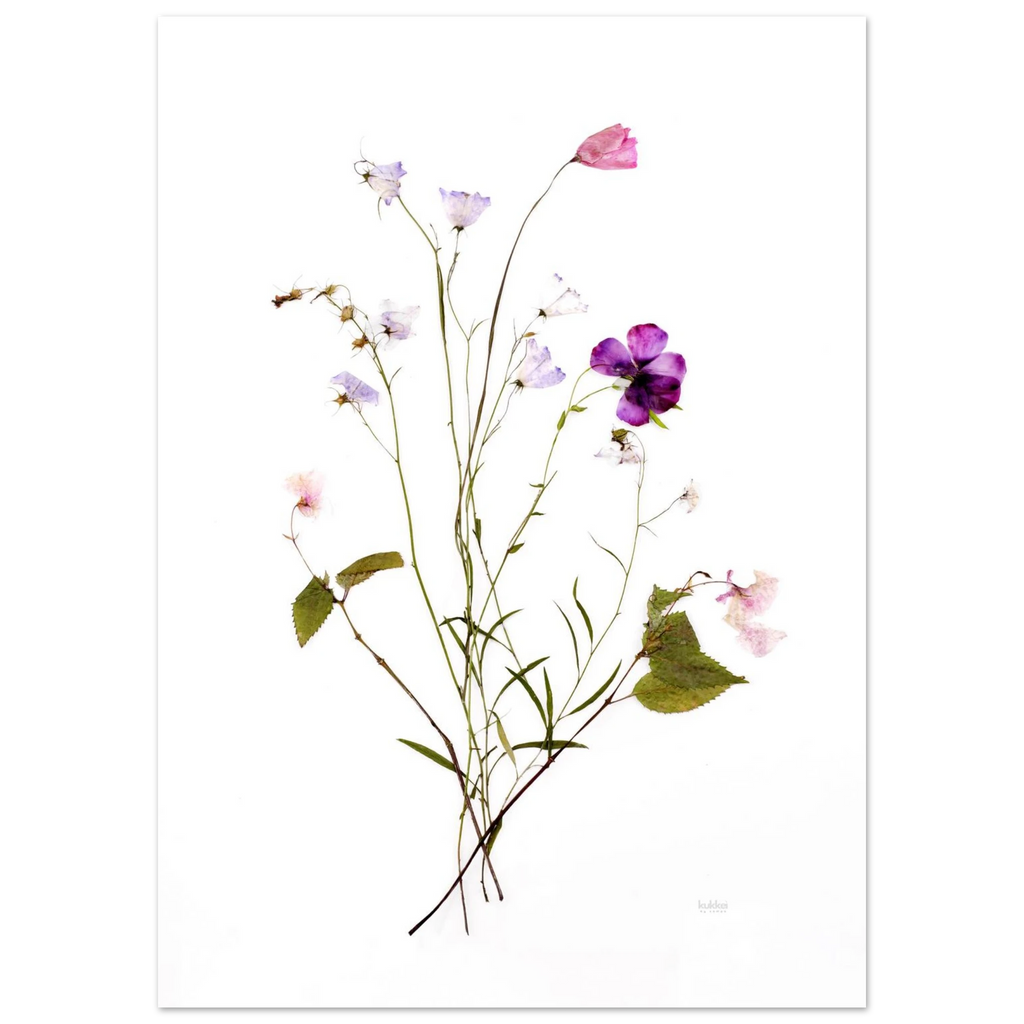 5aa1f2bd-80fb-4e7f-a44c-305aa78112ca