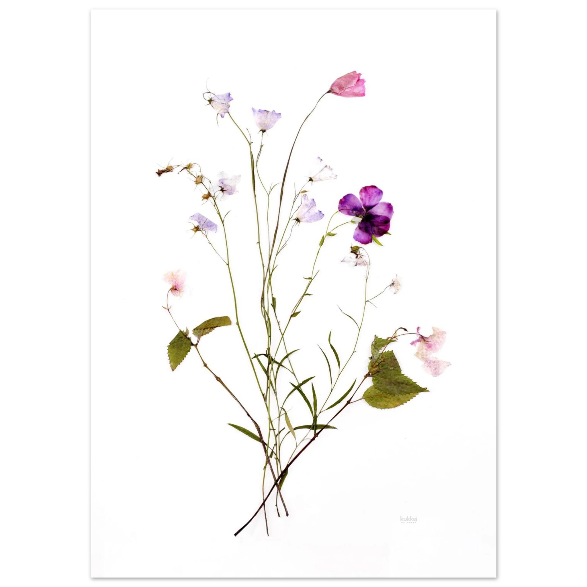 5aa1f2bd-80fb-4e7f-a44c-305aa78112ca