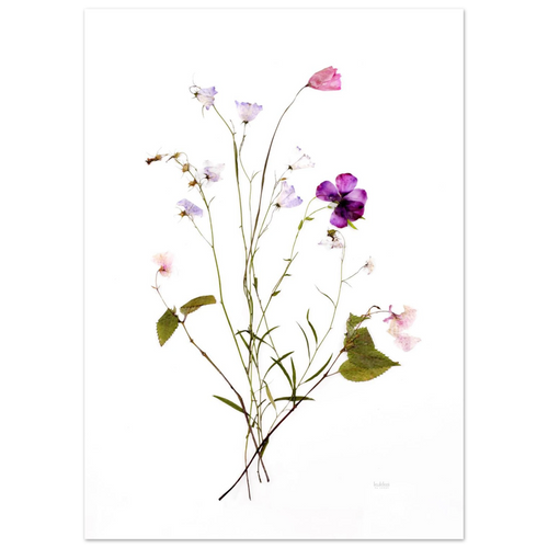 5aa1f2bd-80fb-4e7f-a44c-305aa78112ca