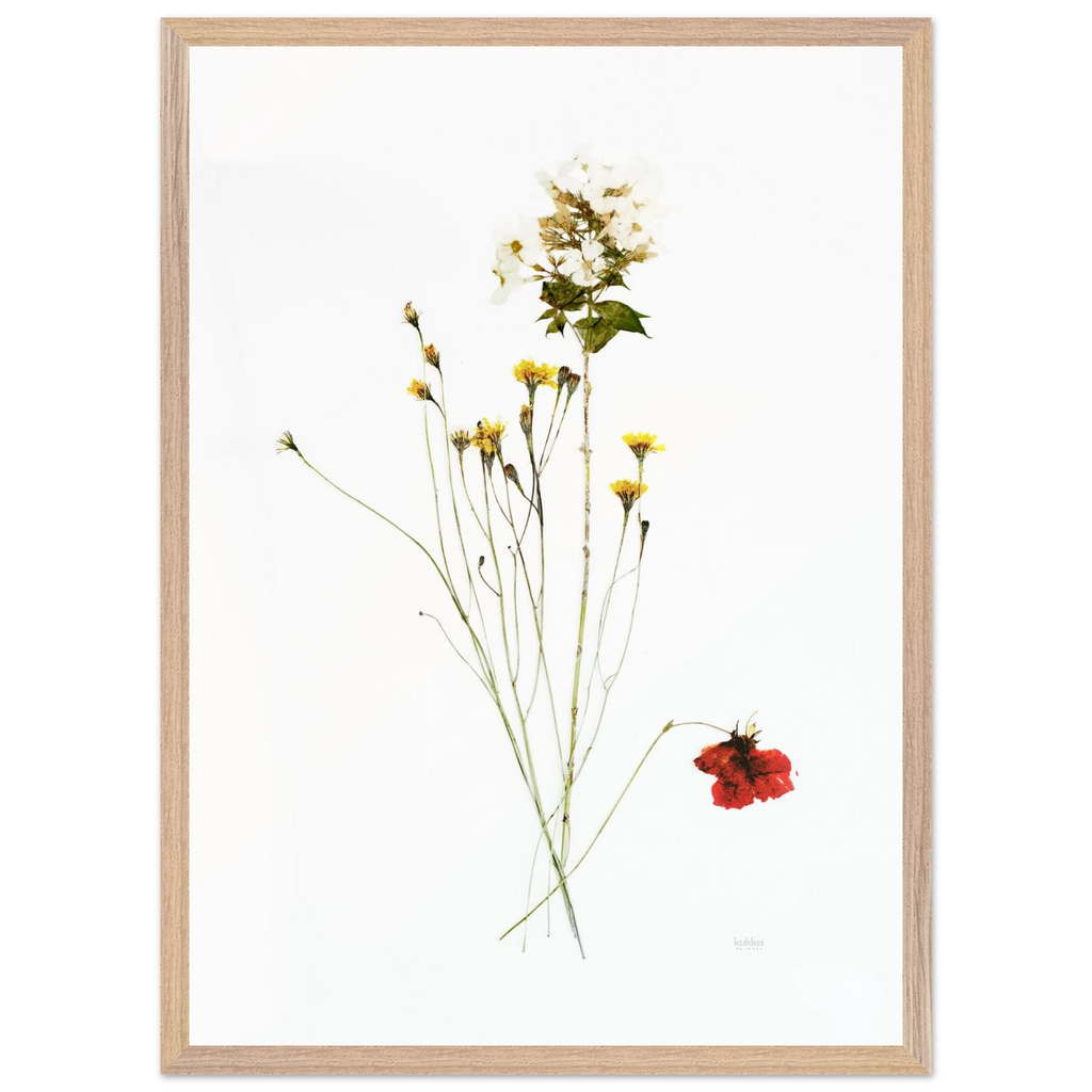 5ac9c11f-56c1-496e-86ea-818fa6a96240