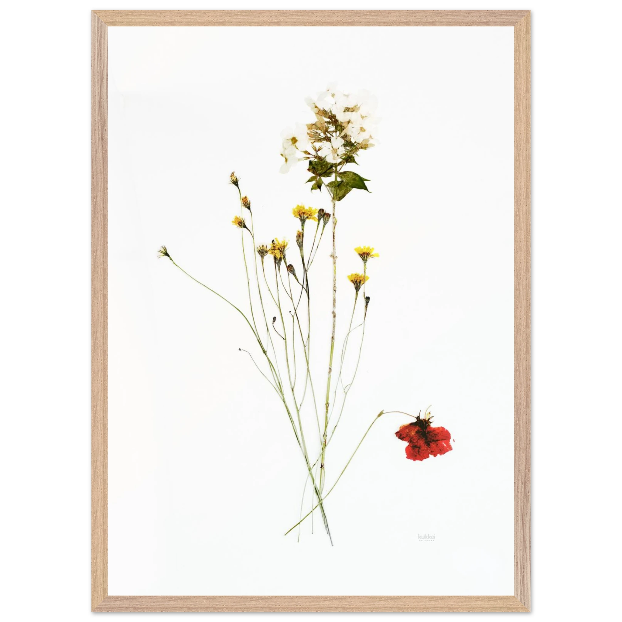 5ac9c11f-56c1-496e-86ea-818fa6a96240