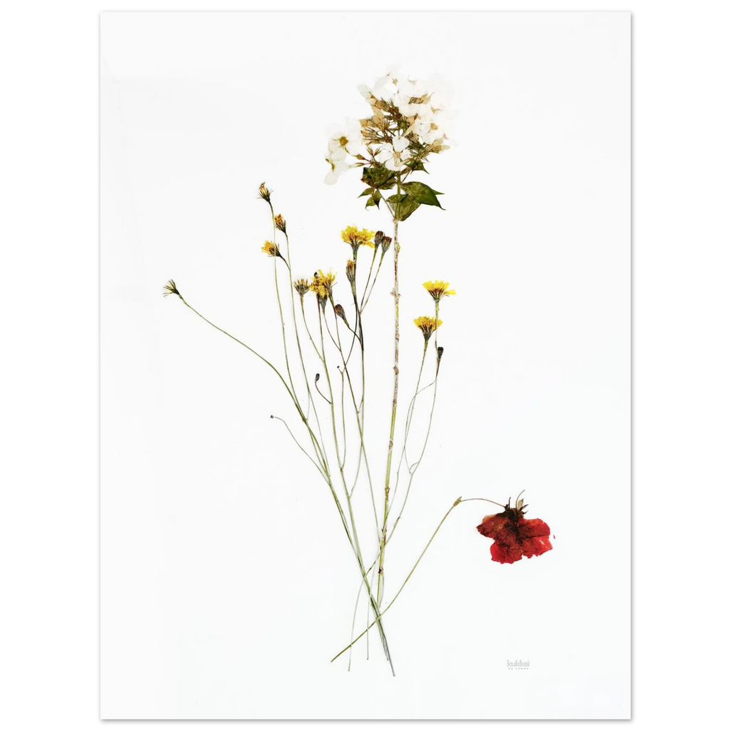 5af31184-1f9d-4e88-847d-281fd73b0398