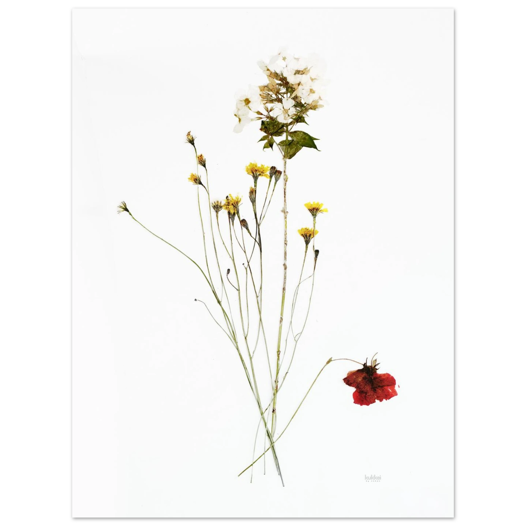 5af31184-1f9d-4e88-847d-281fd73b0398