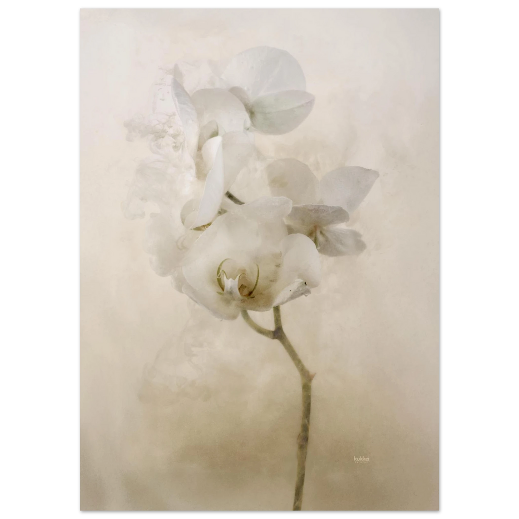 5c305eb0-895f-48f7-a9c8-72eed354e863