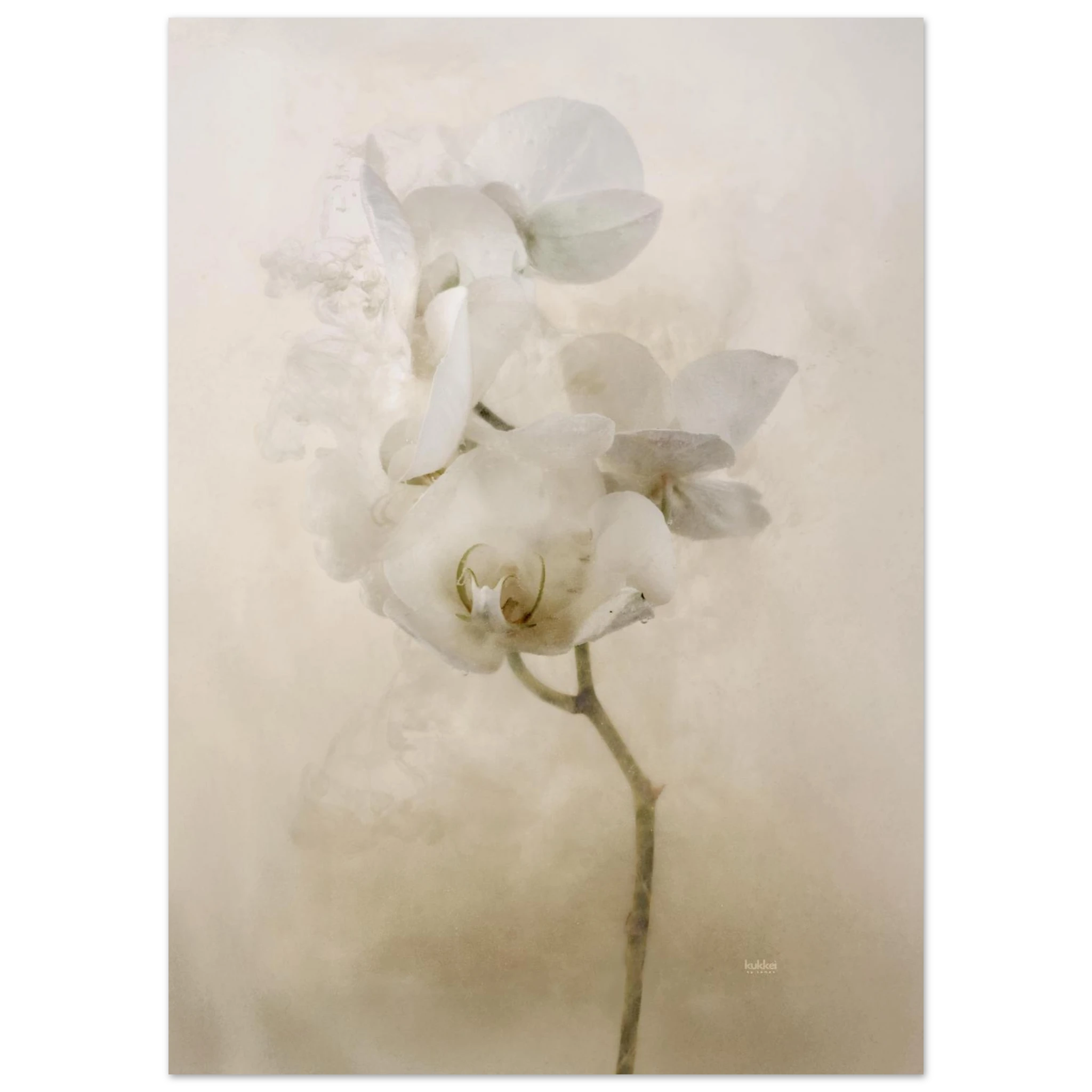 5c305eb0-895f-48f7-a9c8-72eed354e863