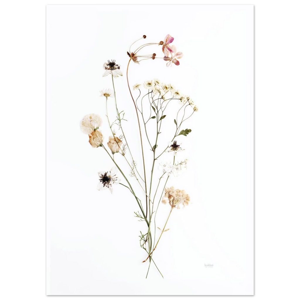 5d840572-29e5-400e-afdb-f486dfd0dd81