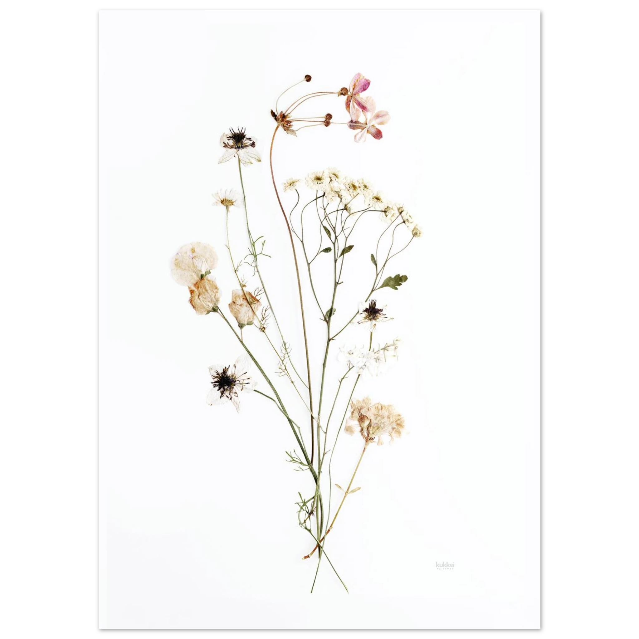 5d840572-29e5-400e-afdb-f486dfd0dd81