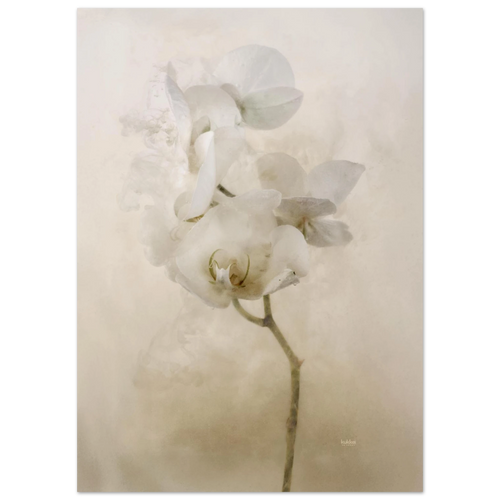 5f48b536-08d8-4421-8c09-c903fe8fcdae