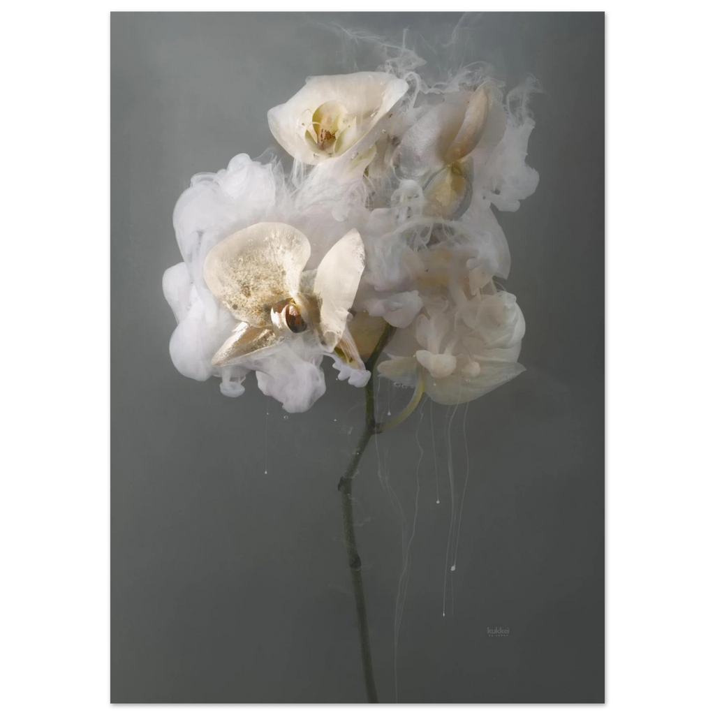 771c33ee-3a6f-48c5-be0d-89f4c2c9546a