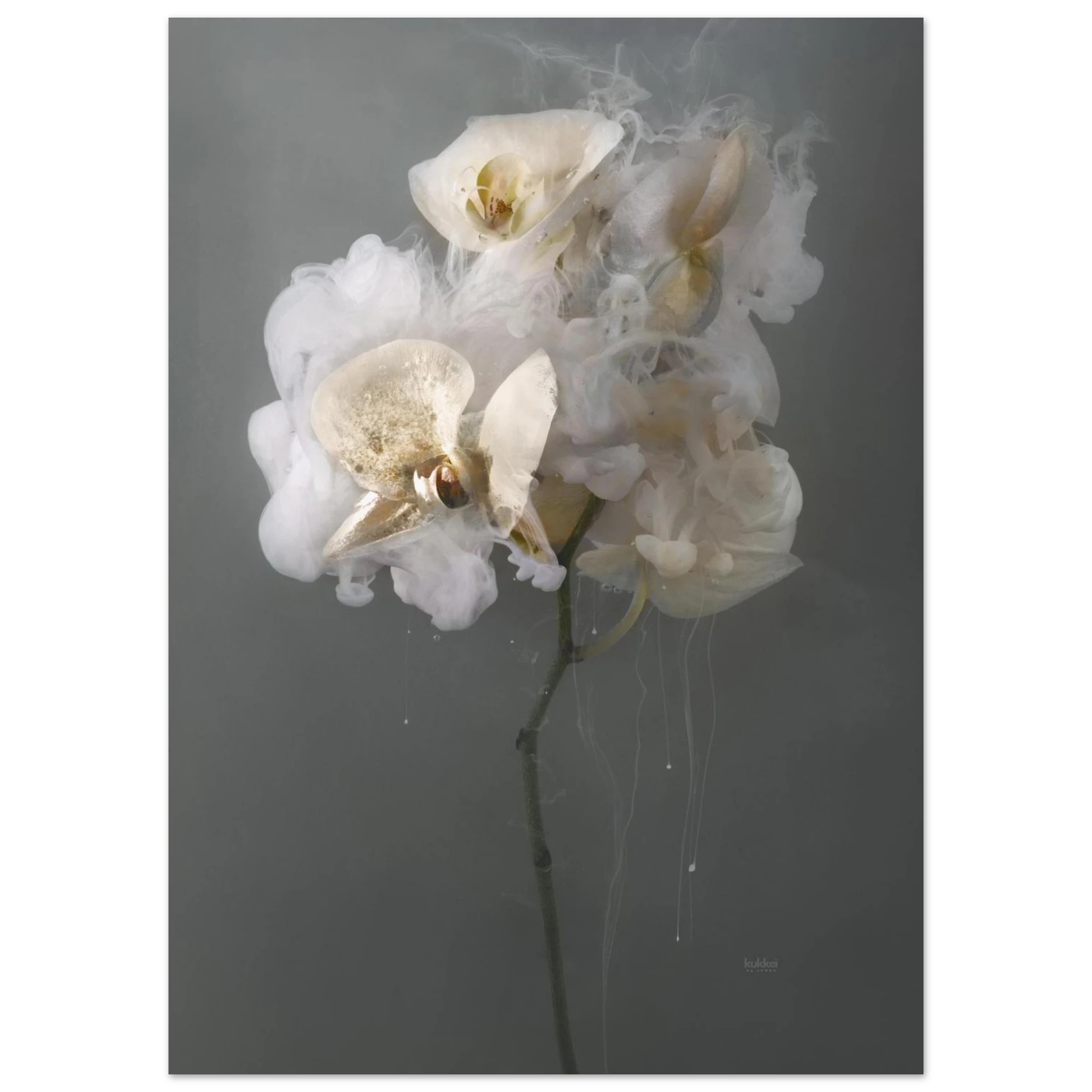 771c33ee-3a6f-48c5-be0d-89f4c2c9546a