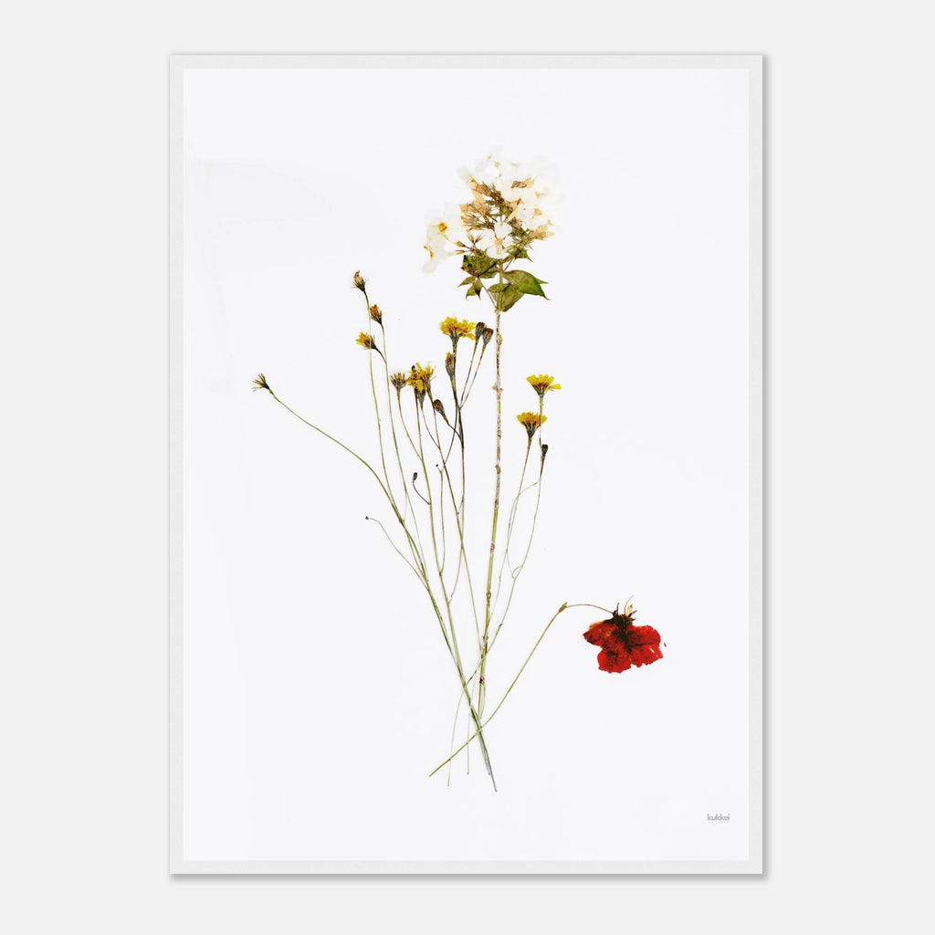 78751293-c06a-4251-a02d-ec7b781c93b0