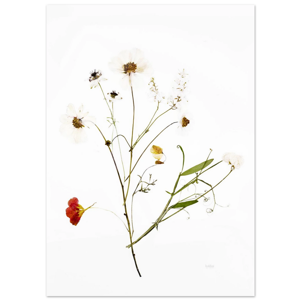 7e46367a-7216-4d03-ac0c-efec4e5808eb