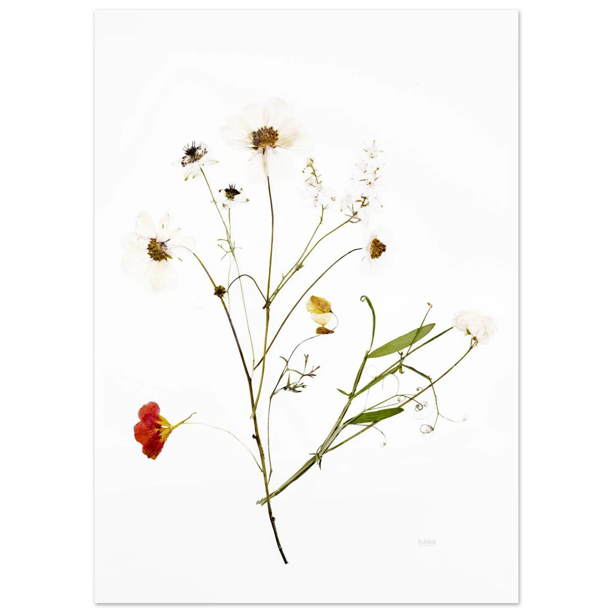 7e46367a-7216-4d03-ac0c-efec4e5808eb