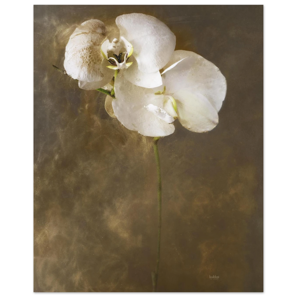 8202c3c9-c518-4936-b58b-e98dd19ffad8