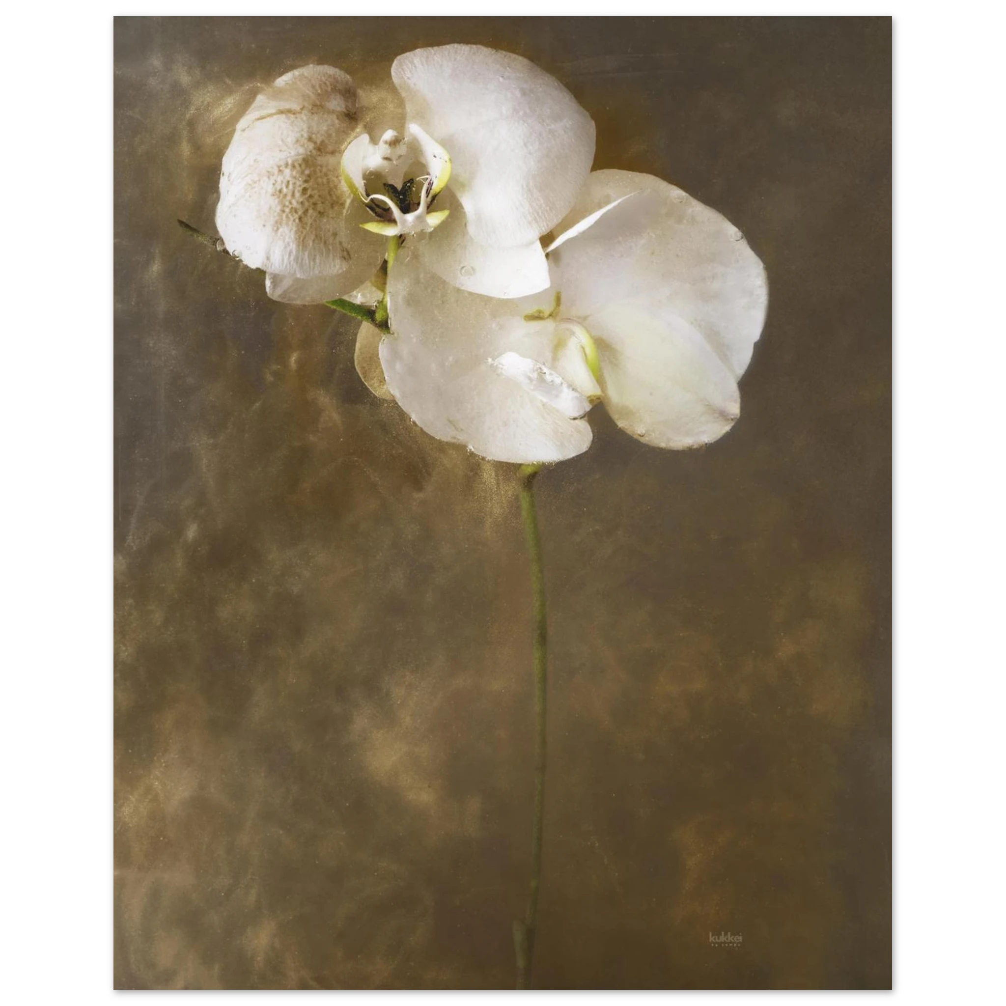 8202c3c9-c518-4936-b58b-e98dd19ffad8