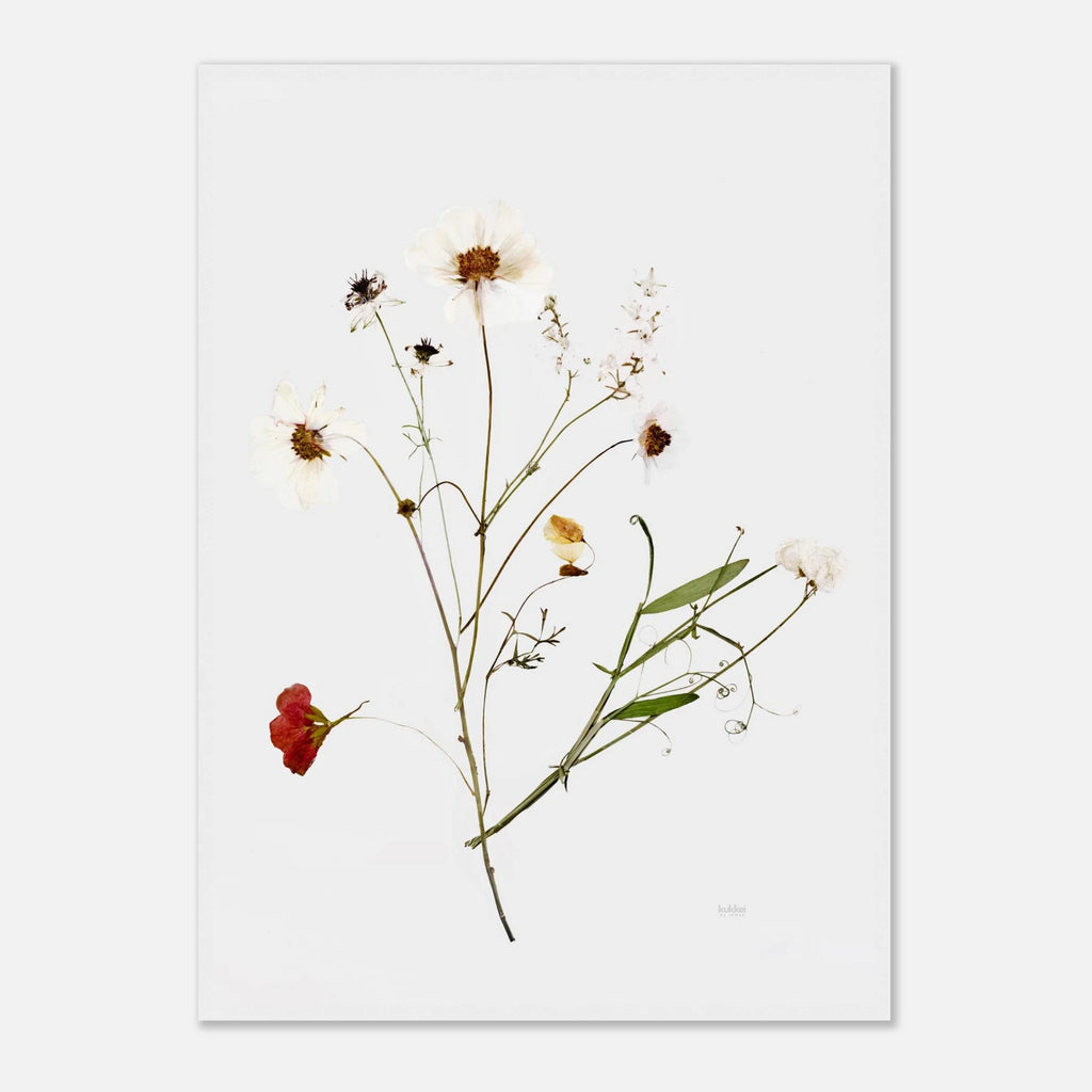 82ca6339-94fb-4c16-960c-7d7536d85ffb