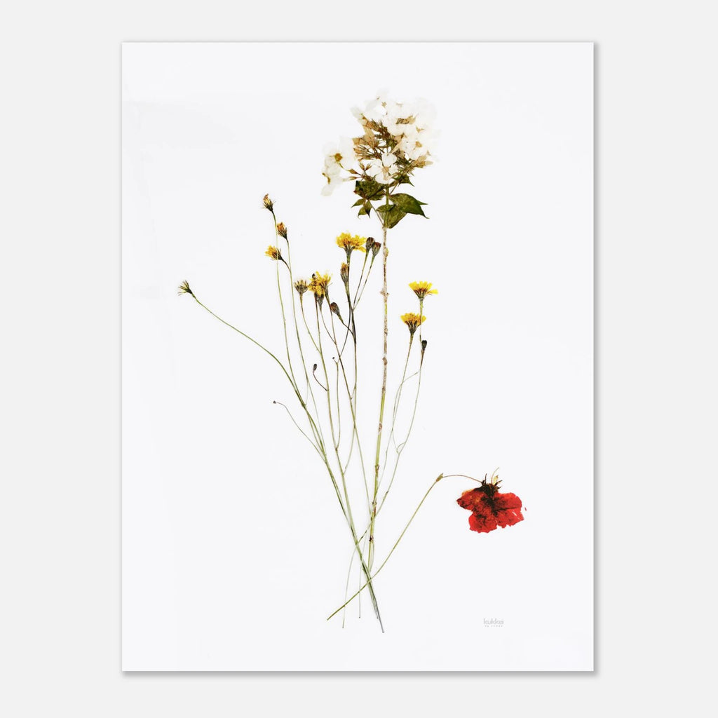 88507c16-78c5-4218-898b-feee97be67e9